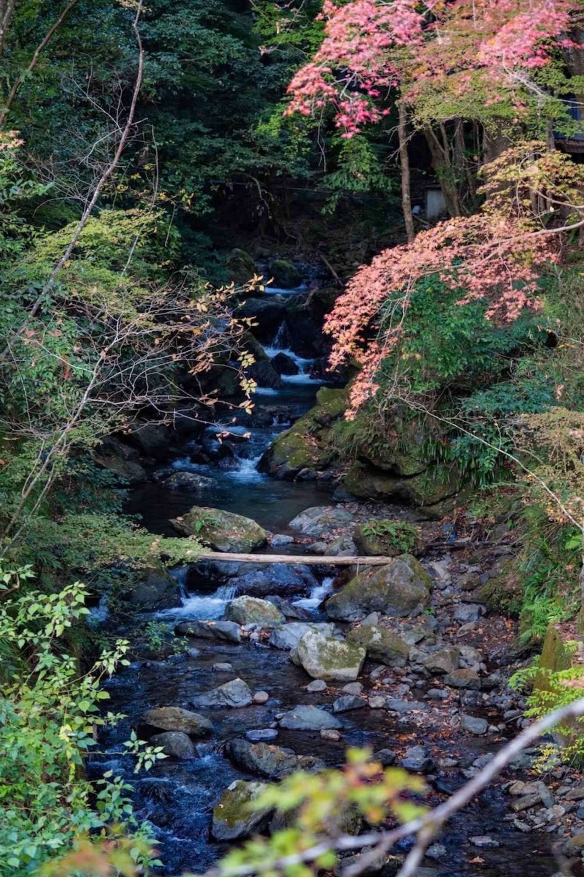 [Kyoto, Kurama] KURAMA Onsen Admission Ticket - Thumbnail 7