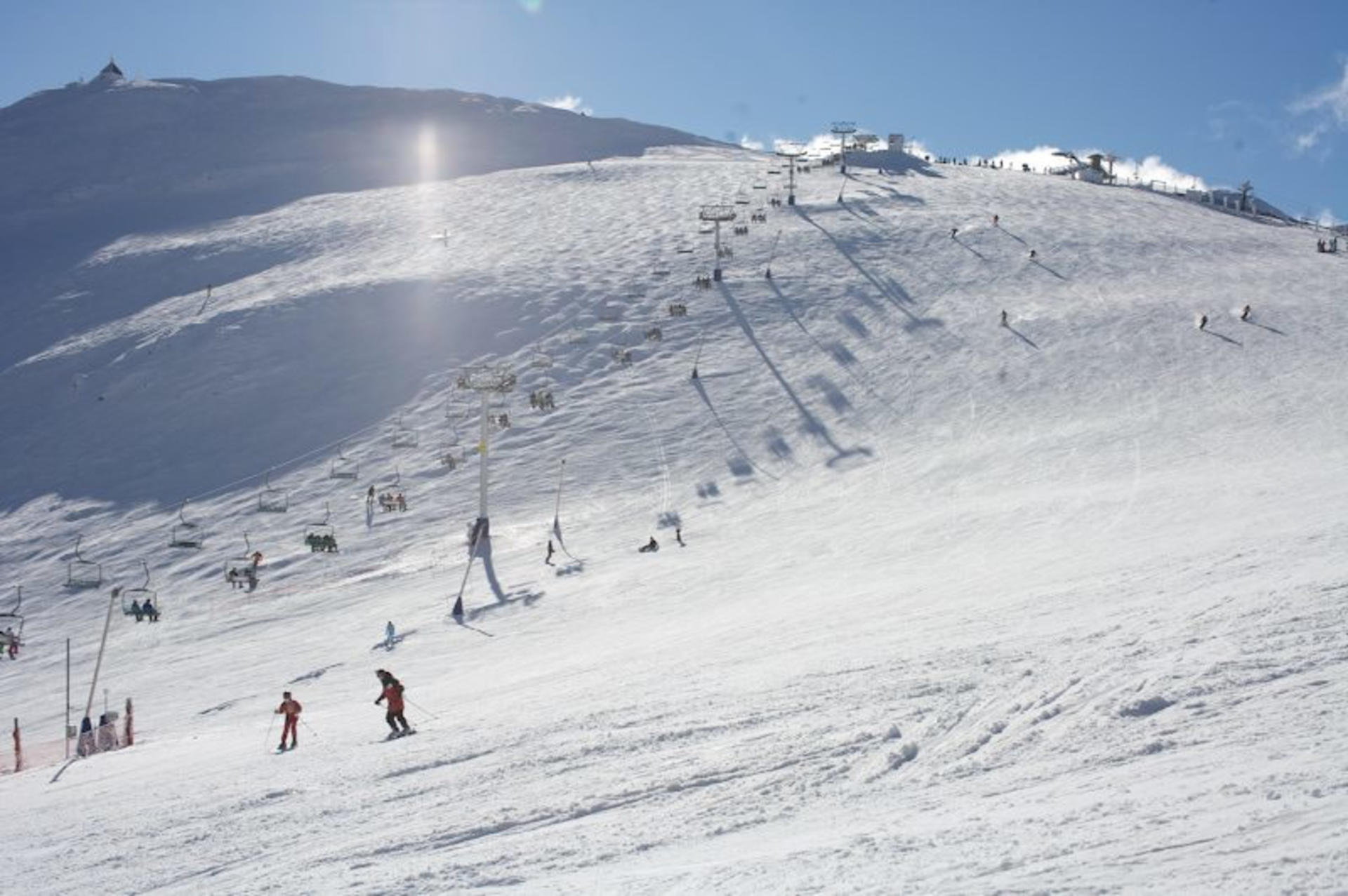 Mt Buller Small Group Boutique Tour with Exclusive Circuit Walk - Thumbnail 11