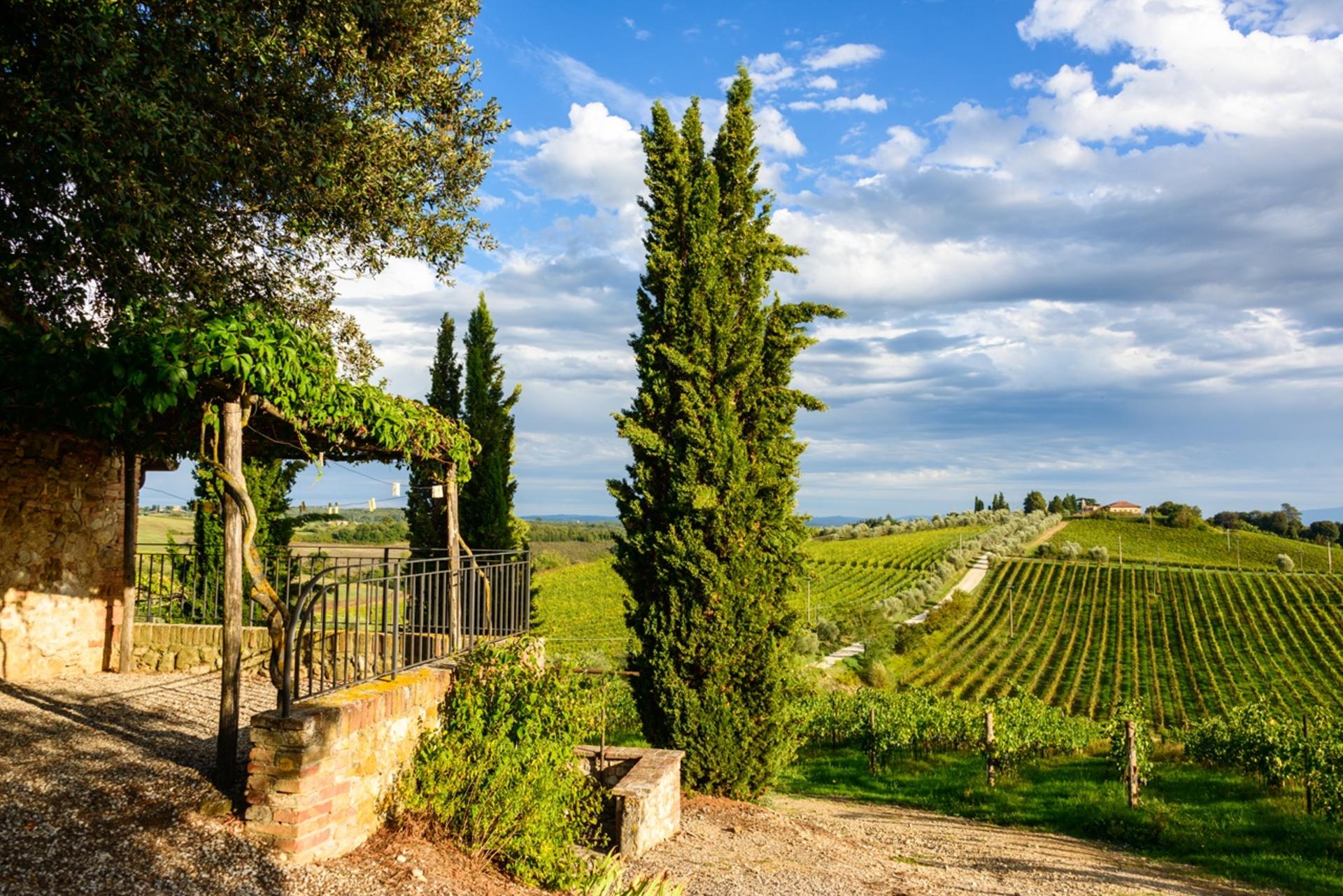 Chianti Delights: Tuscany Wine Private Tour from Florence - Thumbnail 3