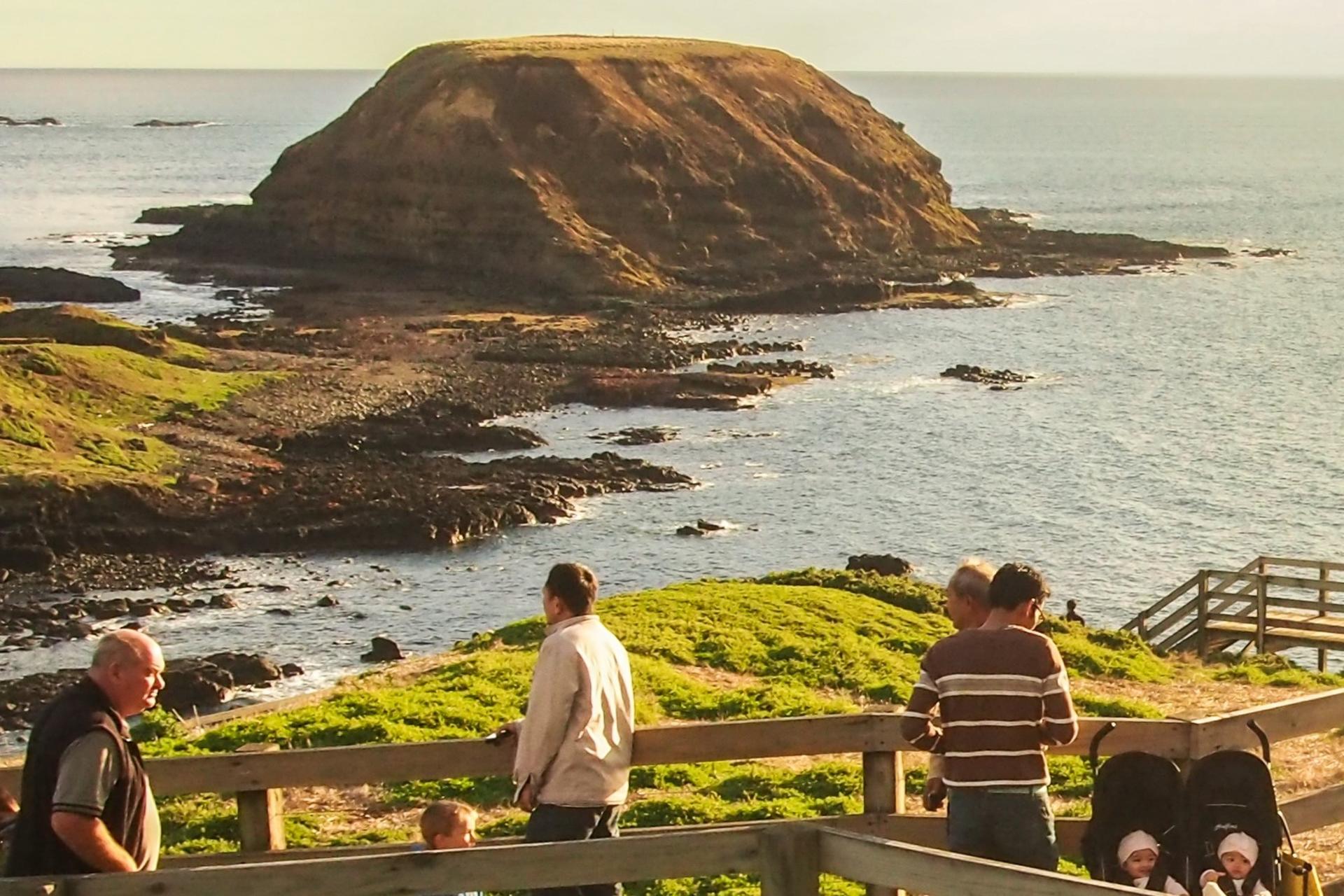 Phillip Island Wildlife & Brighton Beach Boxes Tour	 - Thumbnail 12