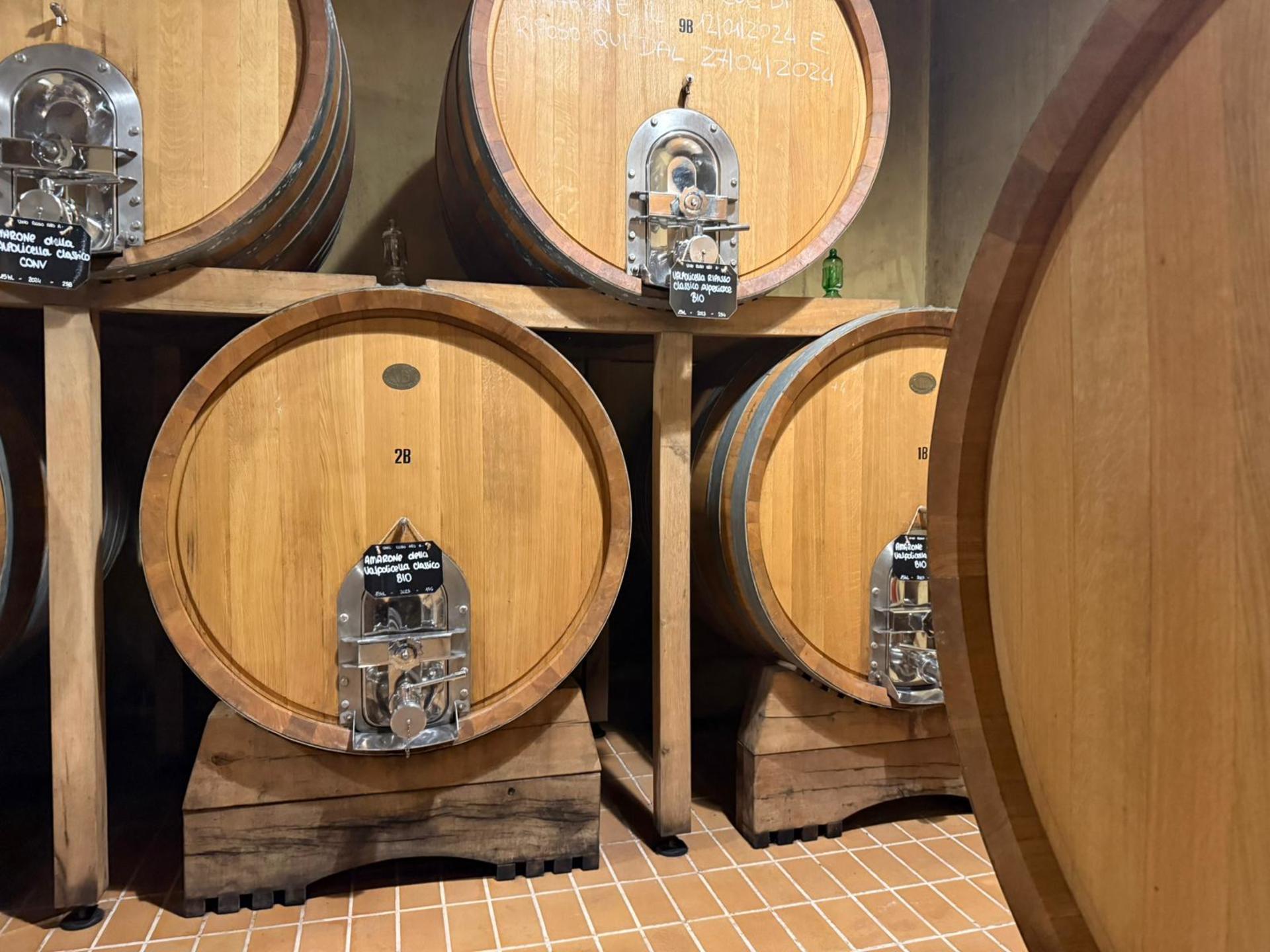 From Verona: Half-Day Valpolicella & Amarone Wine Experience - Thumbnail 16