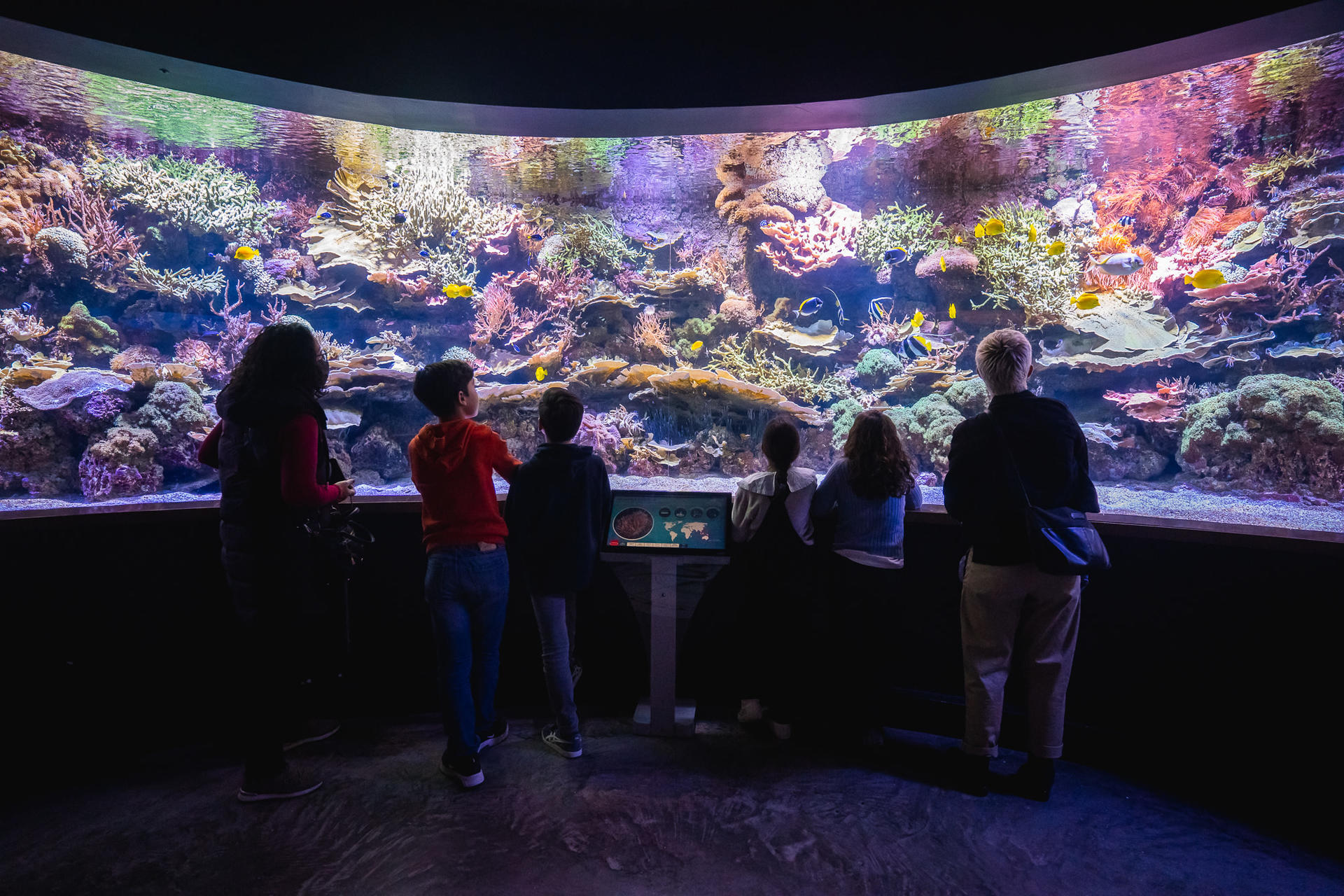Seville Aquarium Ticket in Spain - Image 1