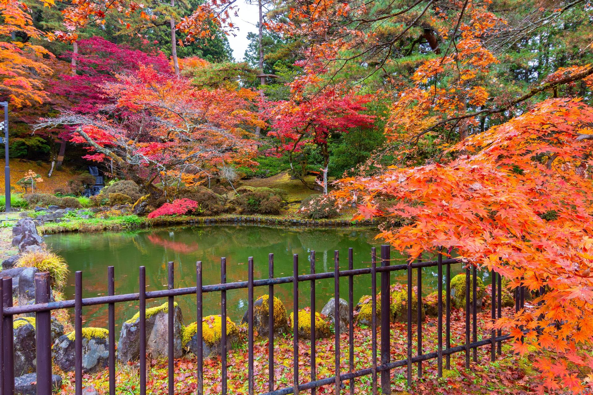Nikko Autumn Special: Irohazaka, Kegon Falls & Toshogu Day Tour - Thumbnail 17