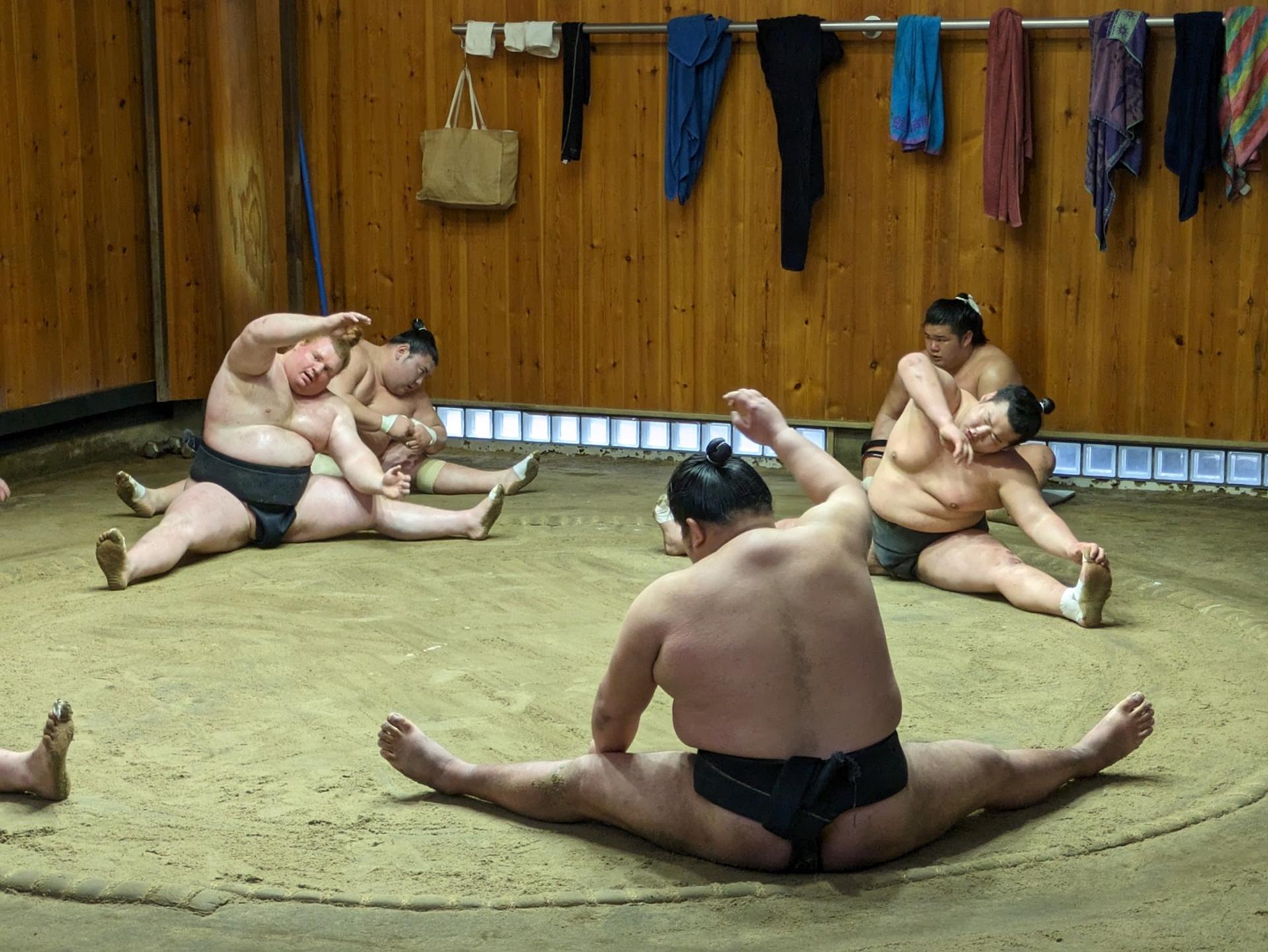Tokyo Sumo Practice Viewing Guided Tour and Photo with Sumo Wrestler - Thumbnail 10