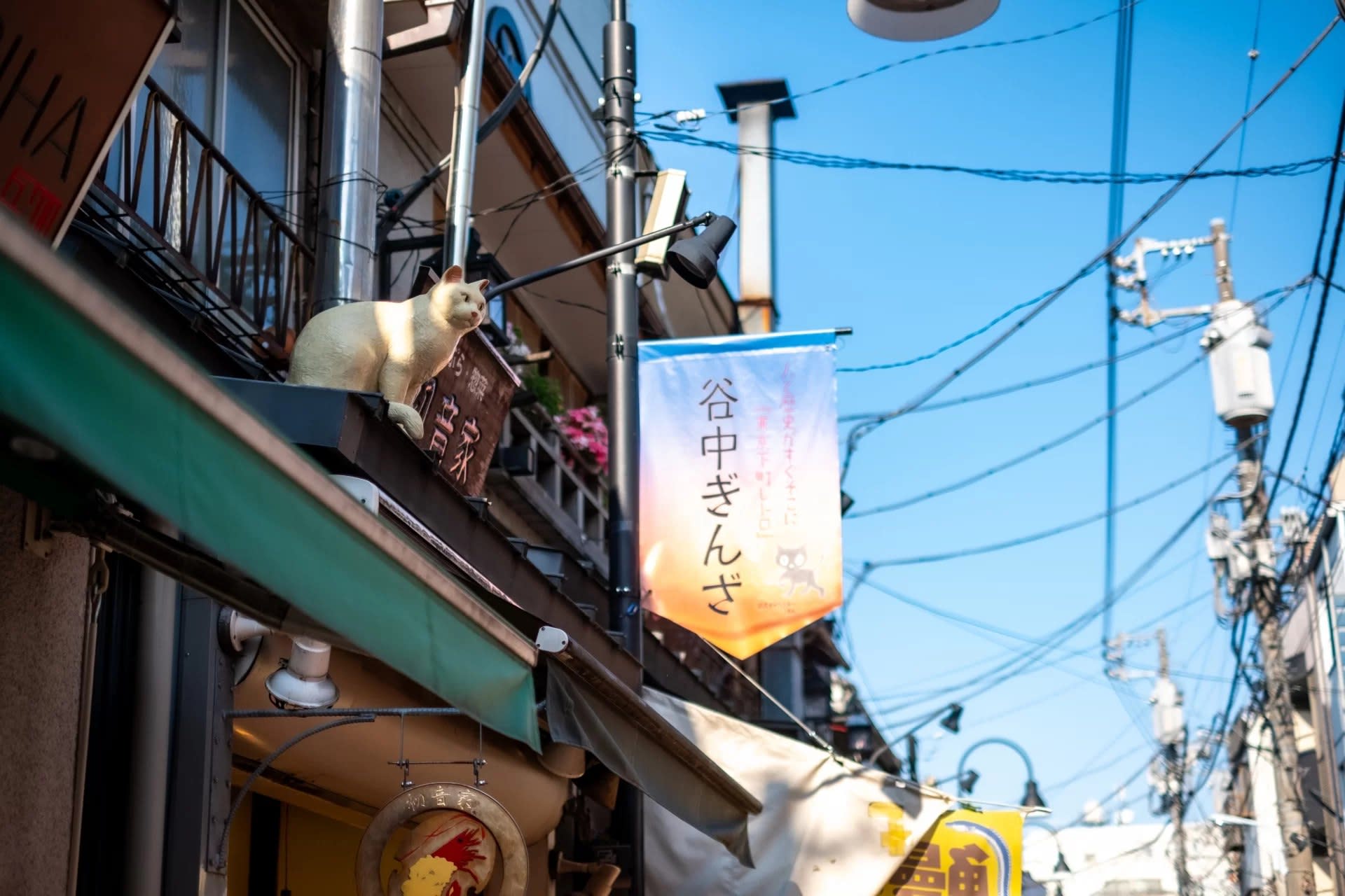 City Exploration Tour in Ueno and Yanaka: Culture, Art and Old Tokyo - Thumbnail 7