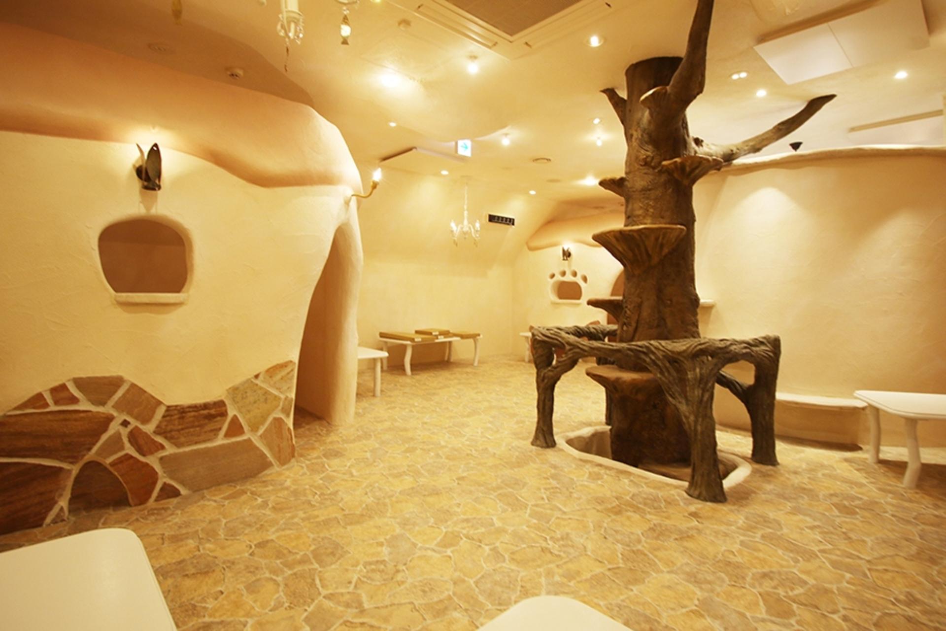 Tokyo Cat Cafe in Kichijoji – Castle Themed - Thumbnail 2