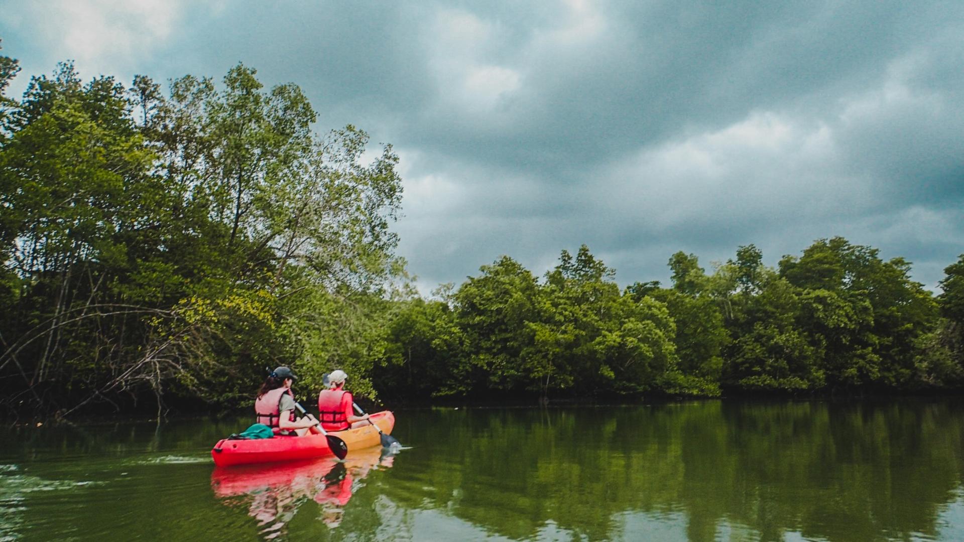 Nature Kayaking Water Adventure - Thumbnail 13