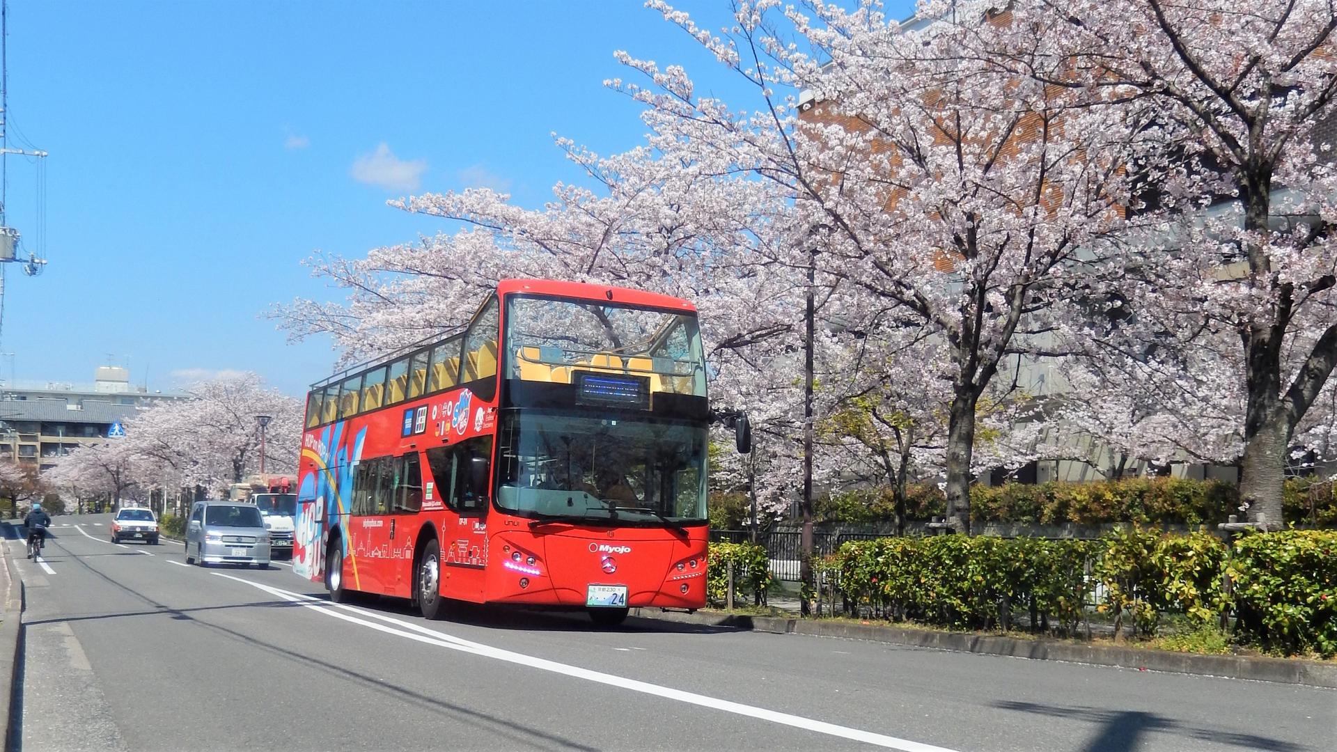 Kyoto Hop-On Hop-off sightseeing bus by Skyhop Bus (1day / 2days ticket) - Image 1
