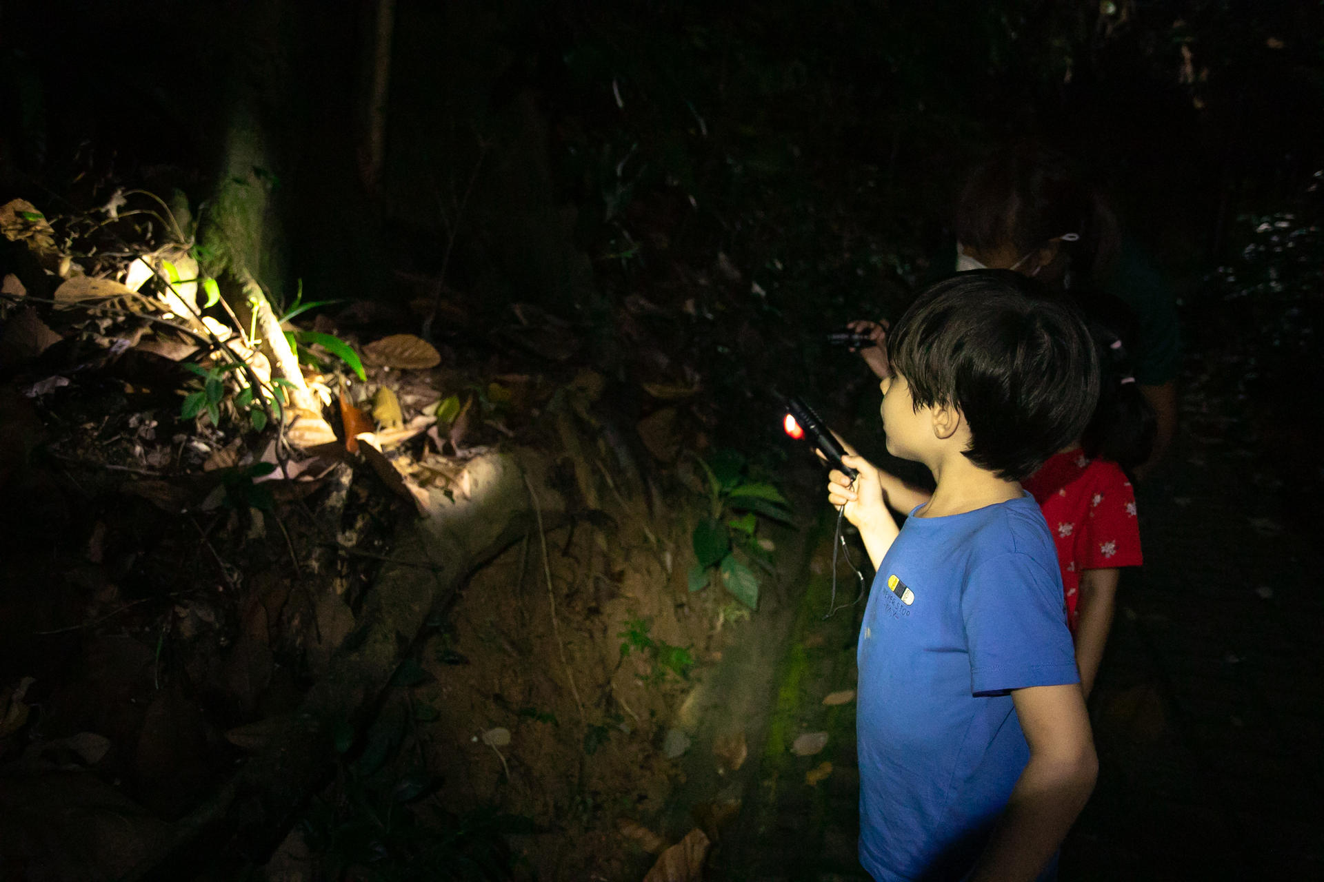 Naturalist Night Adventure by The Untamed Paths - Thumbnail 7