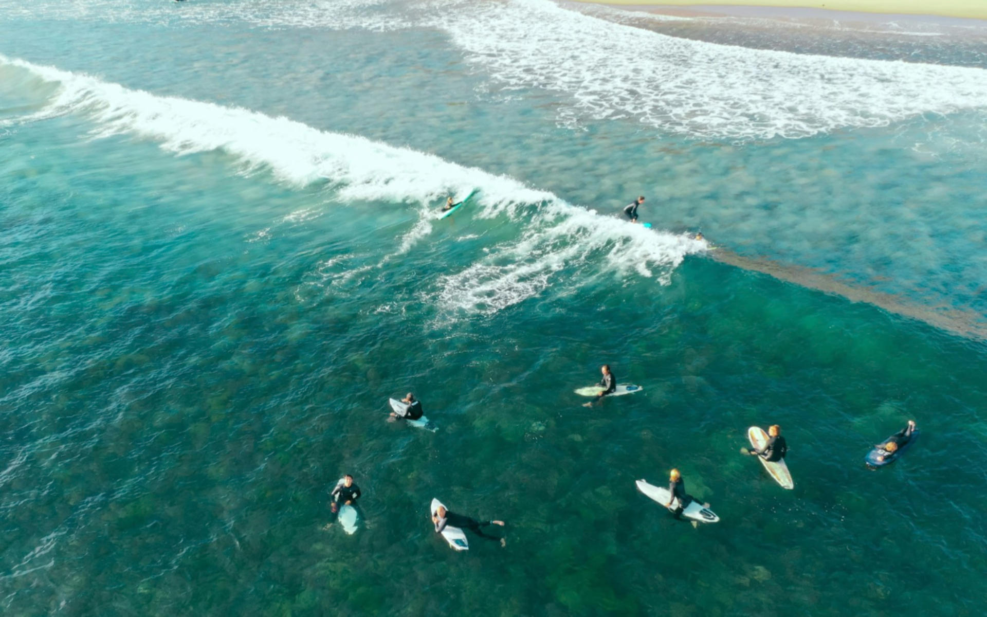 Adult Surfing Lesson in Gold Coast - Thumbnail 2