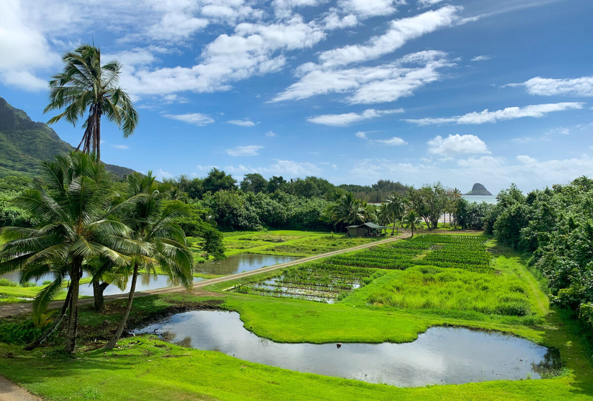 Go City - Oahu Explorer Pass - Thumbnail 15