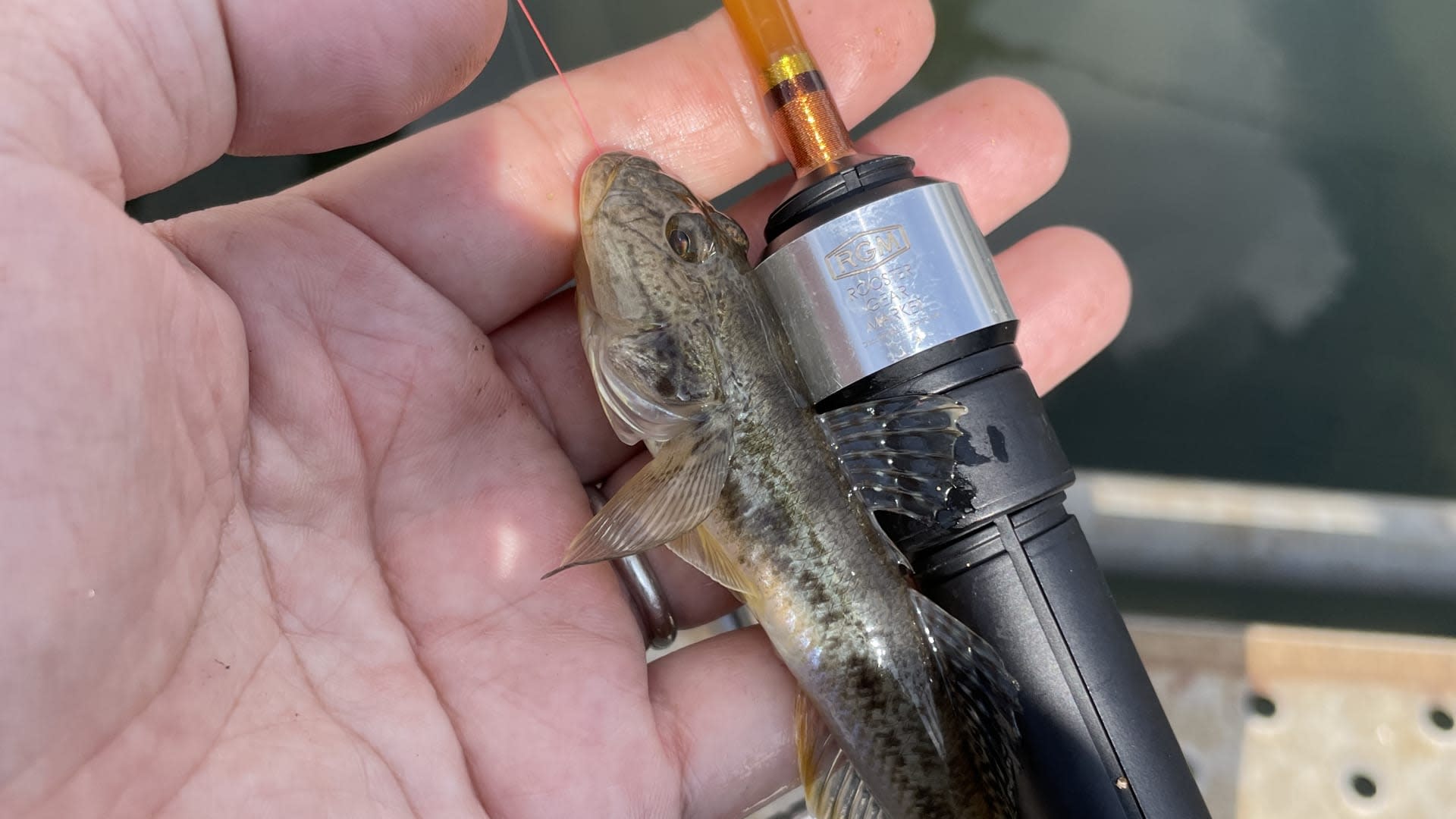 Lampas Outdoor Life: Traditional Japanese Fishing Experience - Thumbnail 11