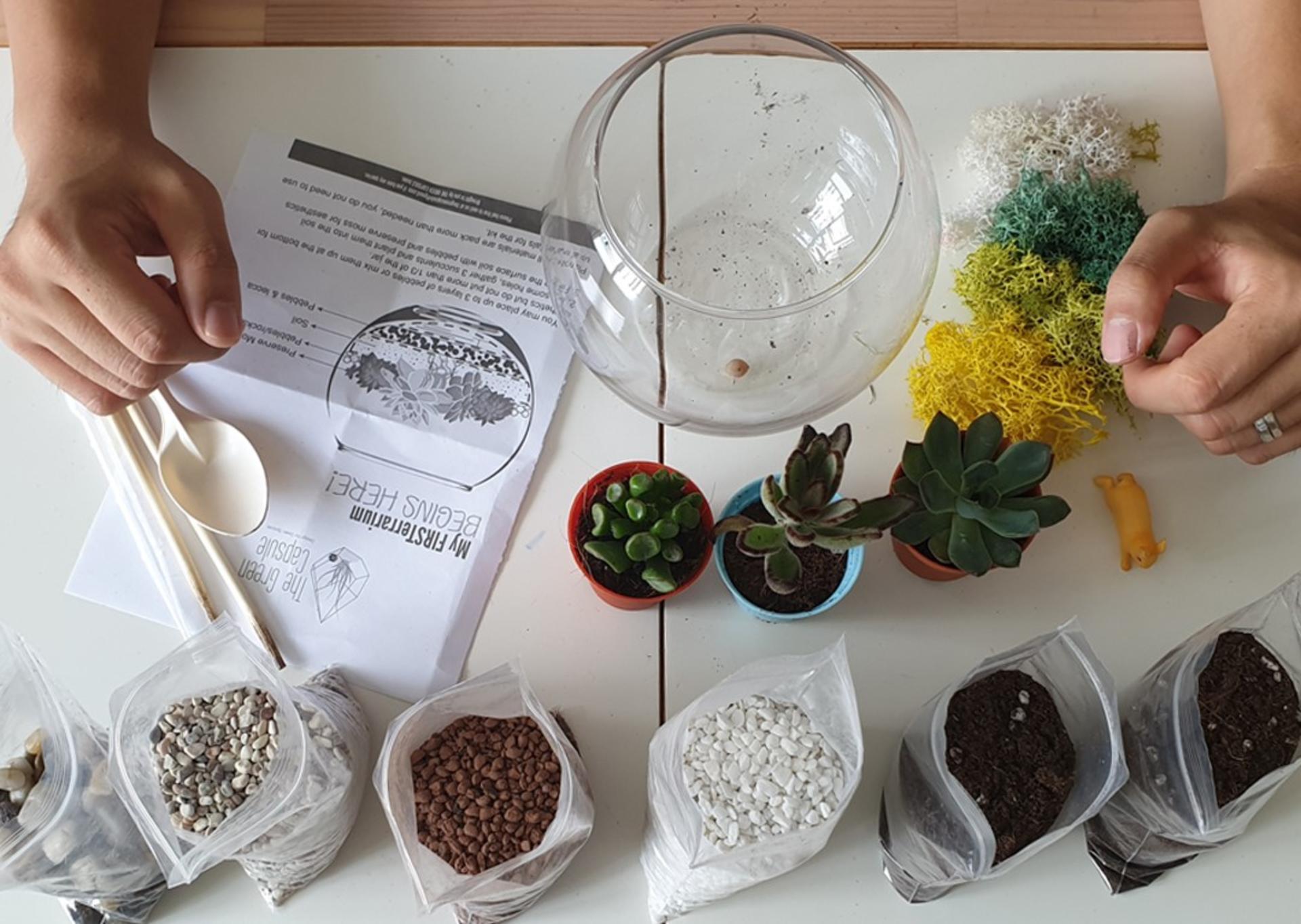 Terrarium and Airplant Greenwall Workshop in Funan & PLQ - Thumbnail 3