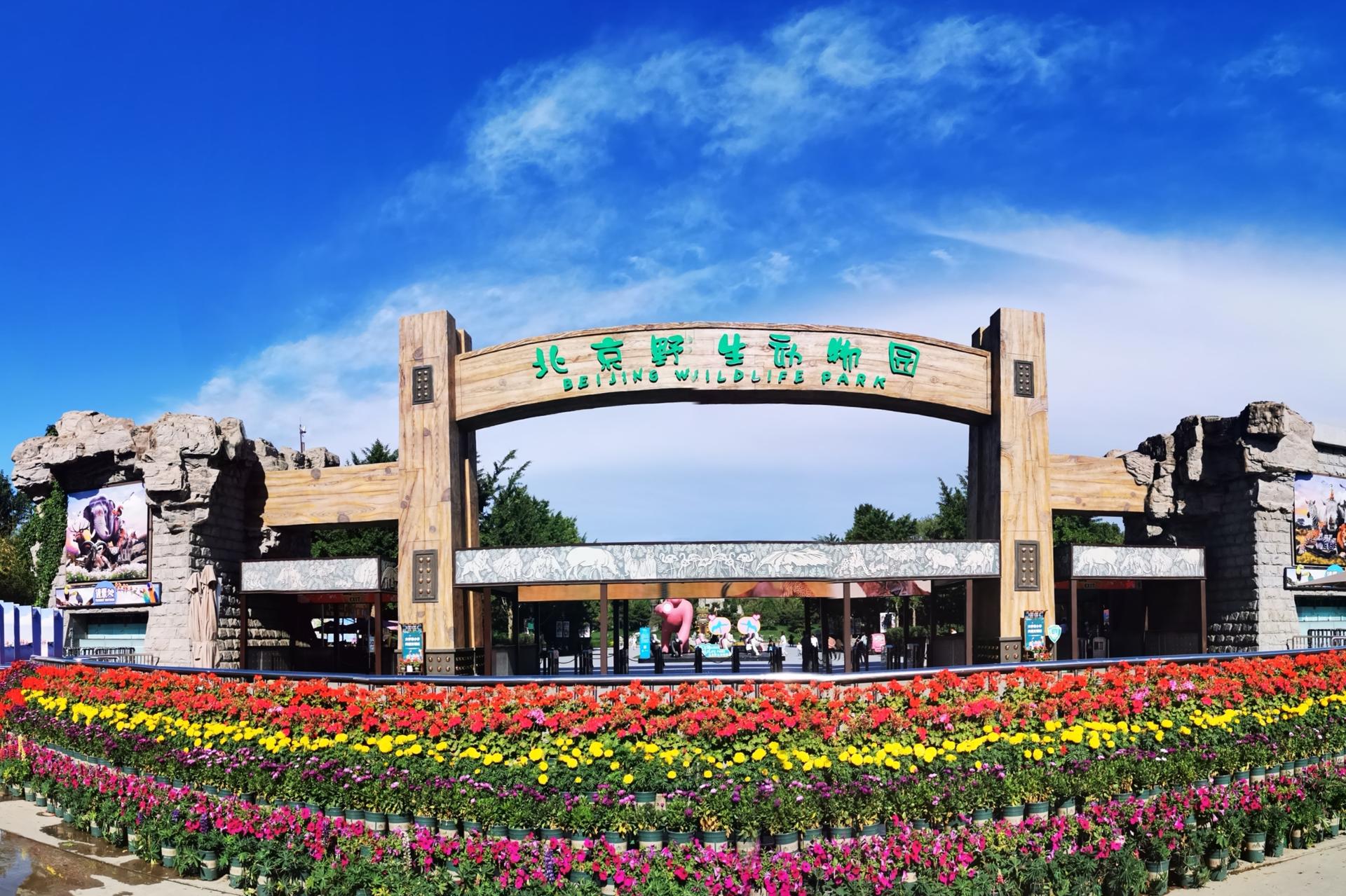 Beijing Wildlife Park Ticket - Image 1