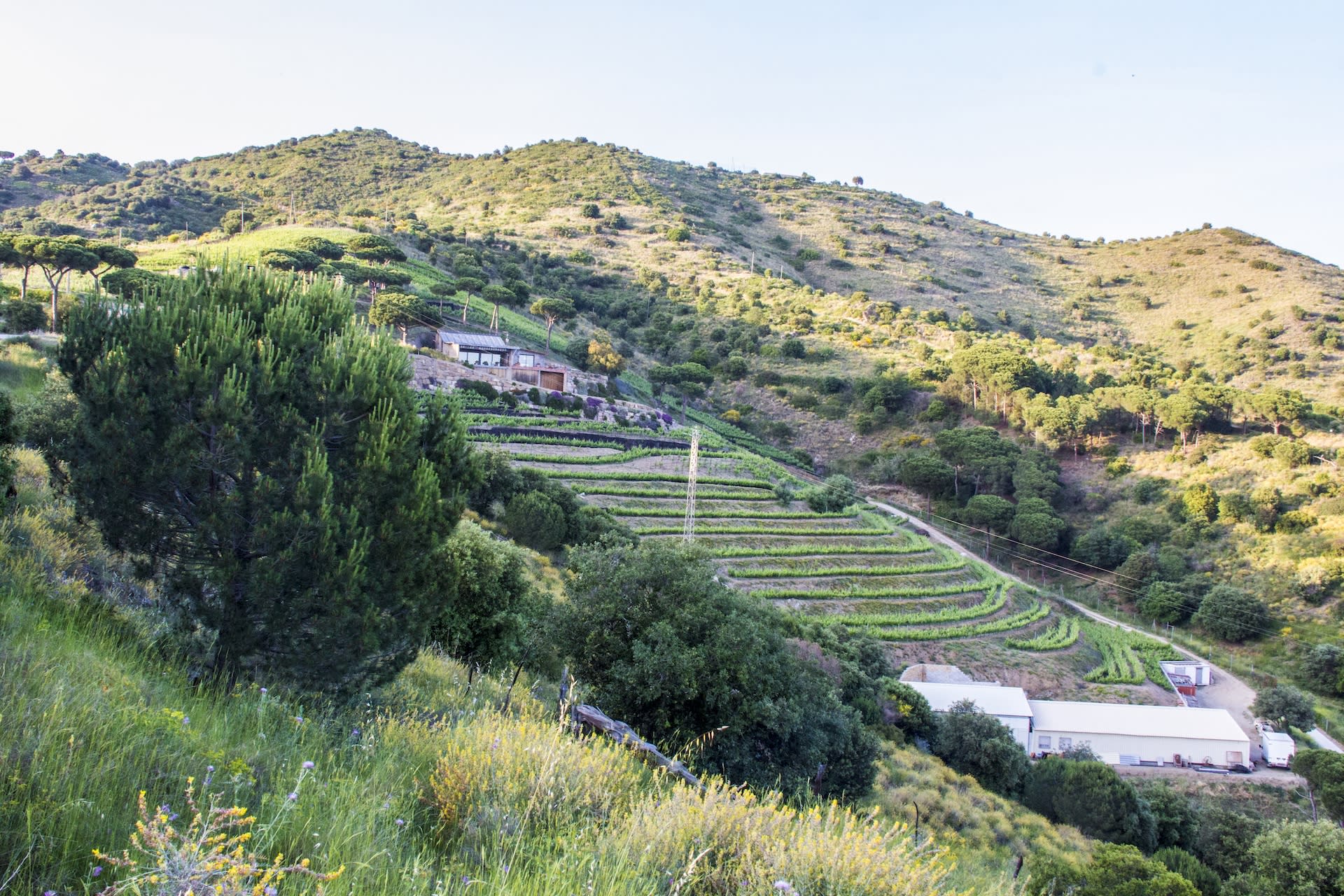 Cruise, Vineyard and Wine Tasting Tour from Barcelona - Thumbnail 14
