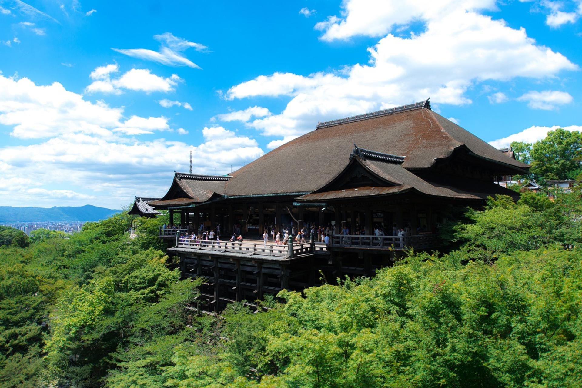 Kyoto: Nijo, Bamboo Grove, Golden Pavilion & Fushimi Inari Bus Tour - Thumbnail 5