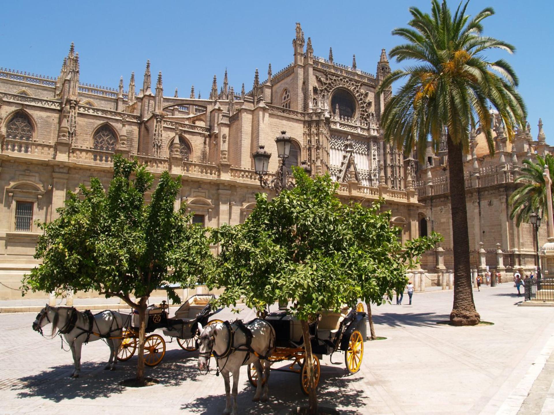 Cathedral of Seville Guided Tour  - Thumbnail 9
