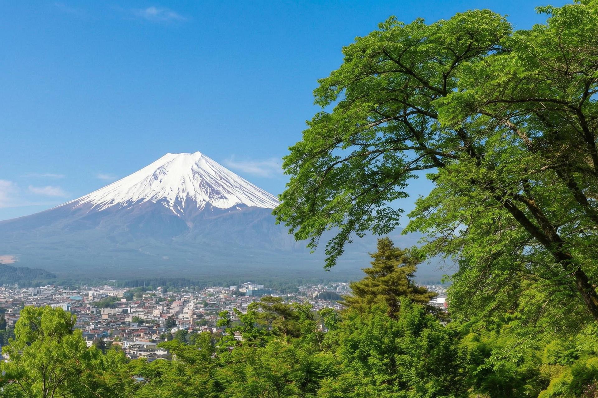 Mount Fuji Brilliant Scenery One-Day Tour (Departing from Tokyo) - Thumbnail 48