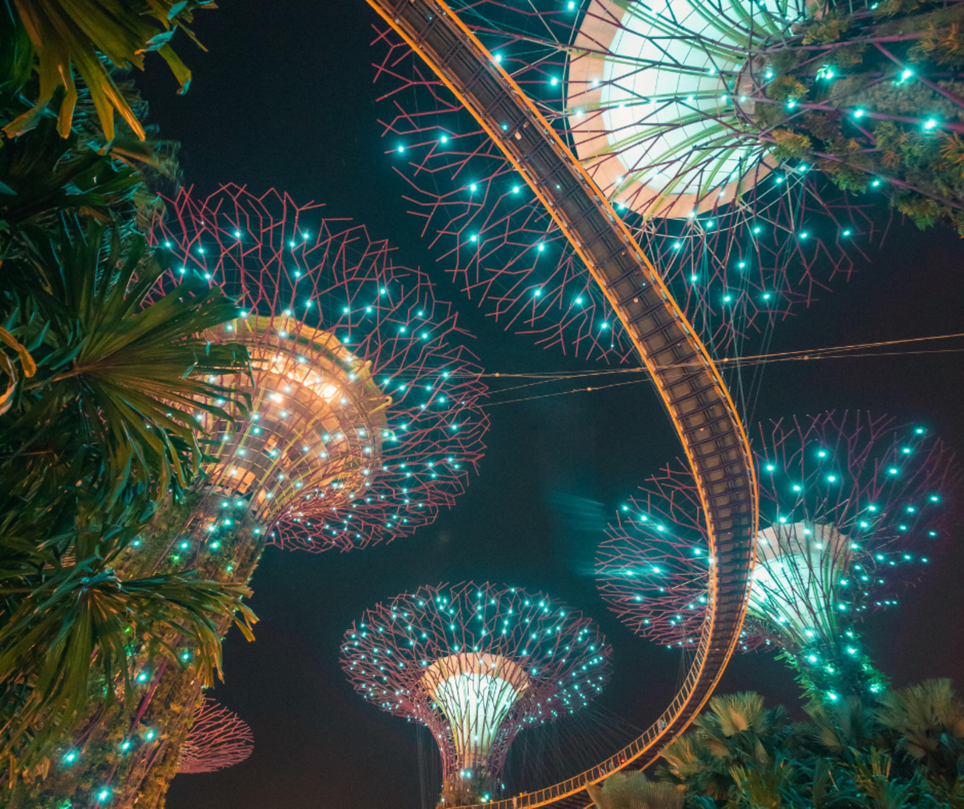 Marina Bay Night Walk with Spectra & Garden Rhapsody - Thumbnail 6