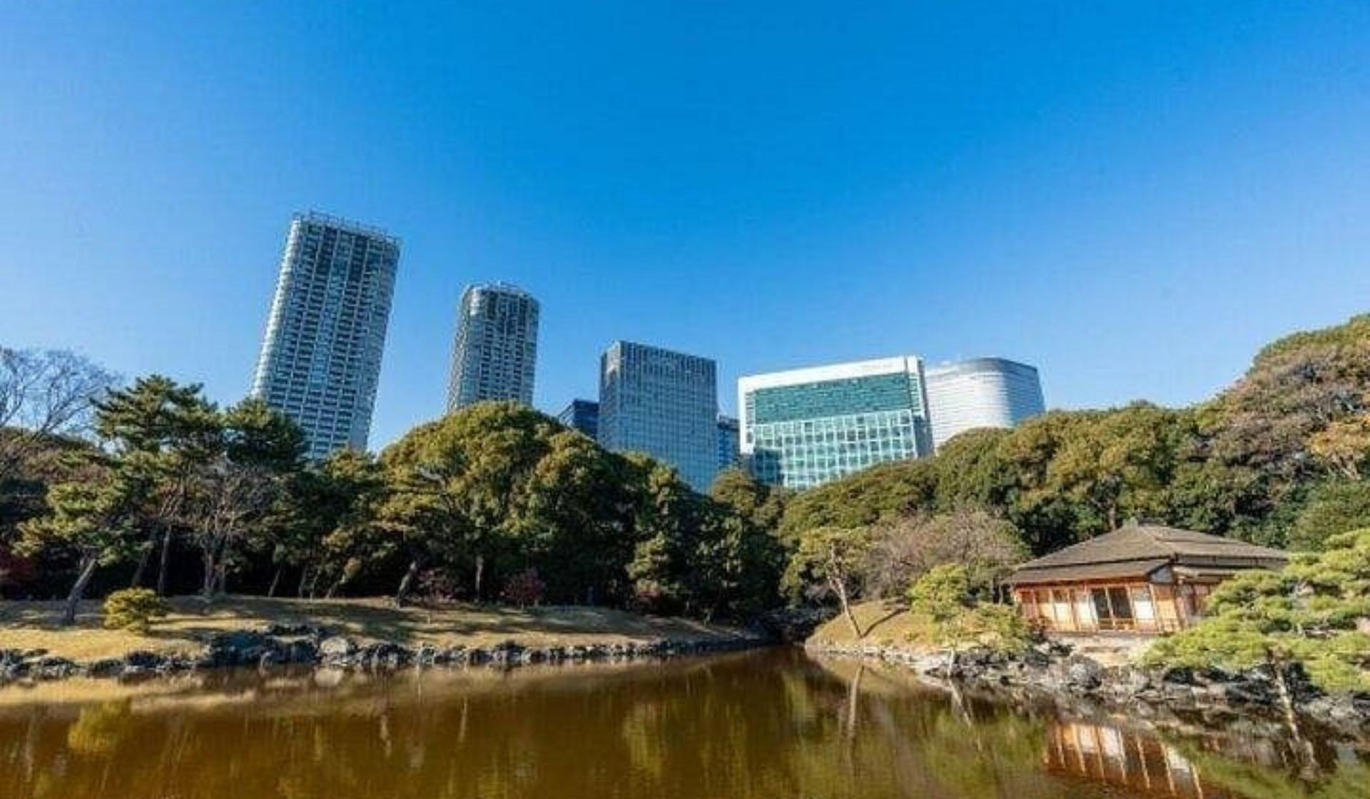 Tsukiji and Hamarikyu Gardens food tour - Thumbnail 3