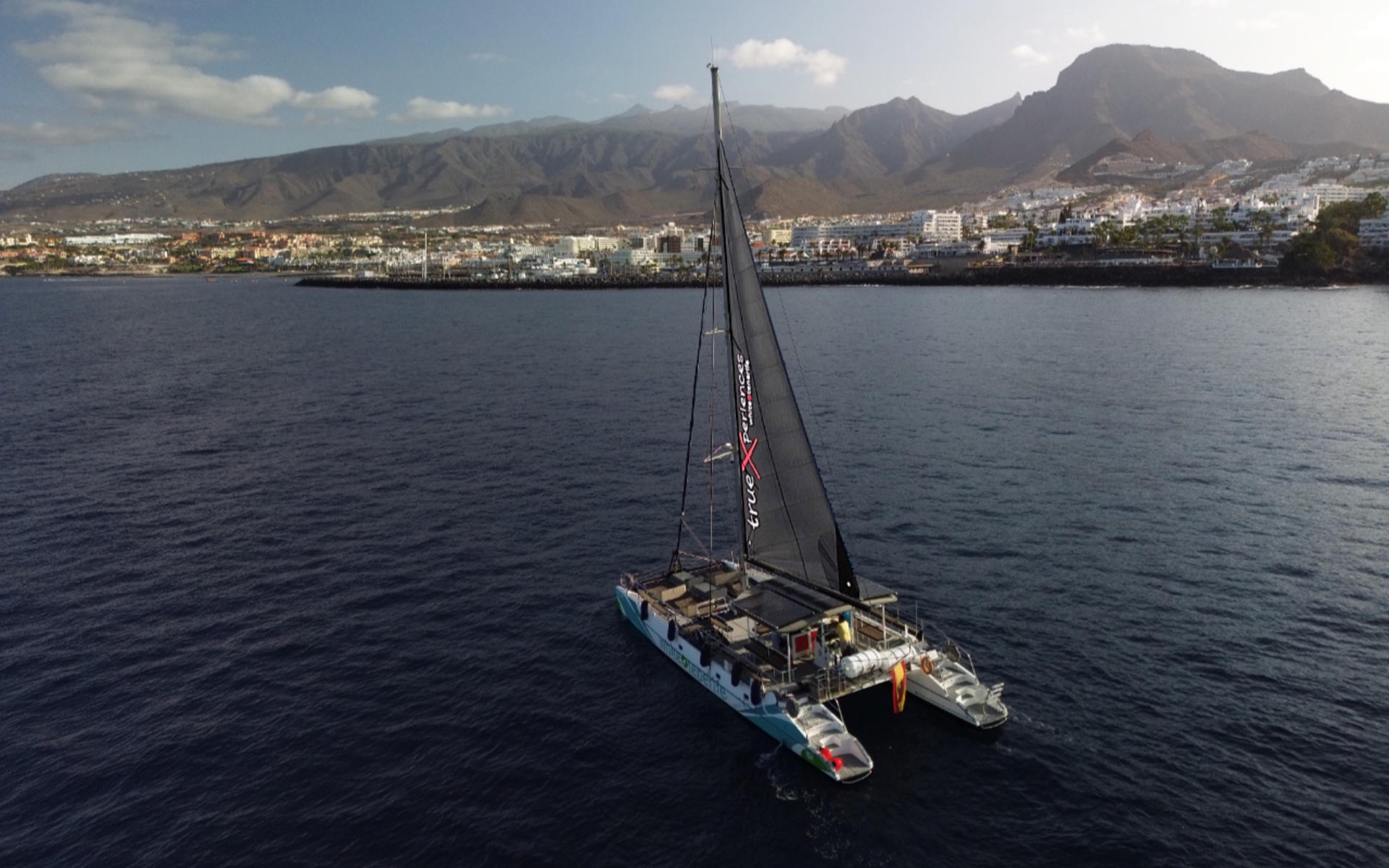 Whale and dolphin watching and listening experience in Costa Adeje - Thumbnail 7