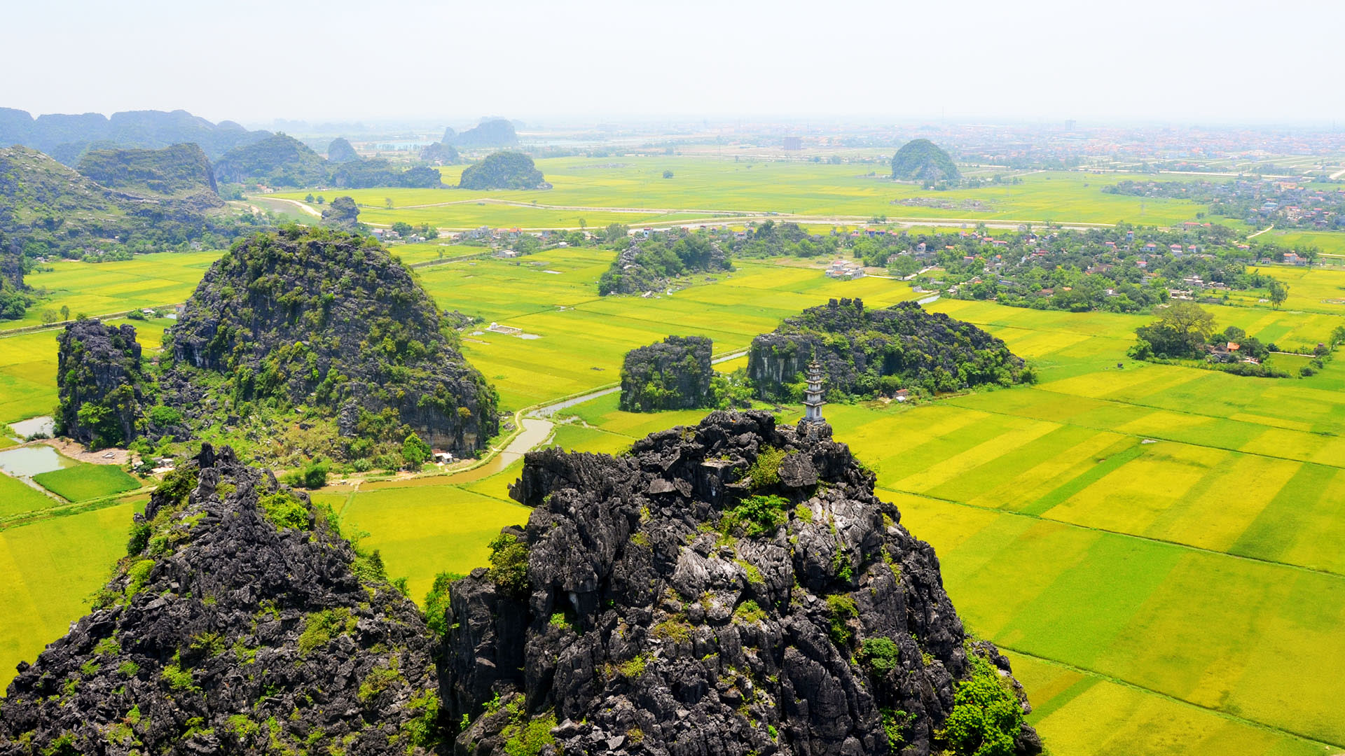 Best of Ninh Binh Tour: Hoa Lu, Bai Dinh, Trang An/Tam Coc, Mua Cave - Thumbnail 14