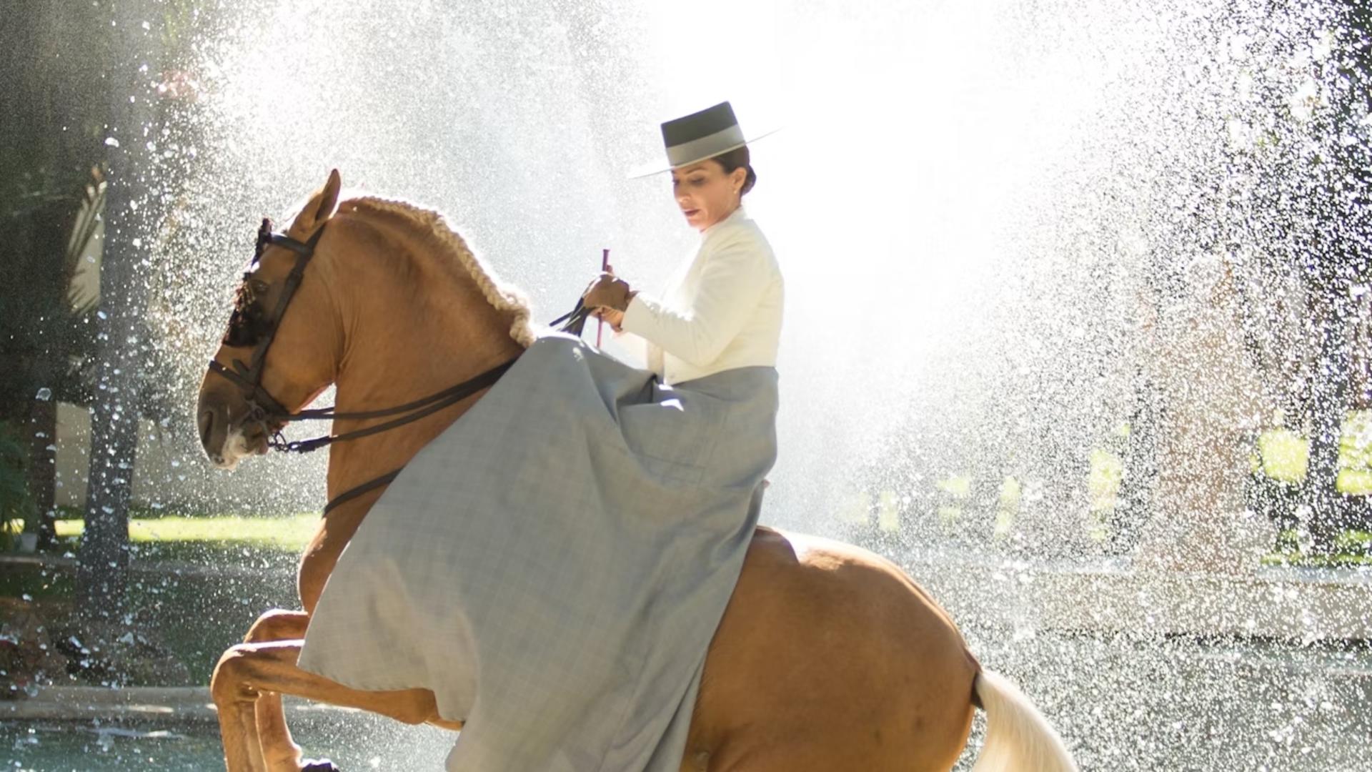 Andalusian horse and Flamenco show in Torremolinos - Thumbnail 6