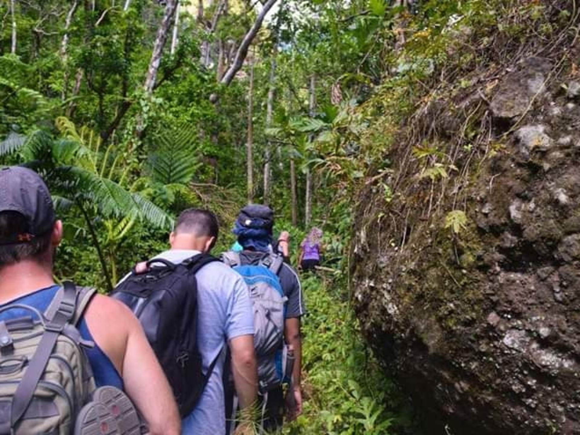 Waterfall Swim & Highlands Hiking Experience - Thumbnail 6