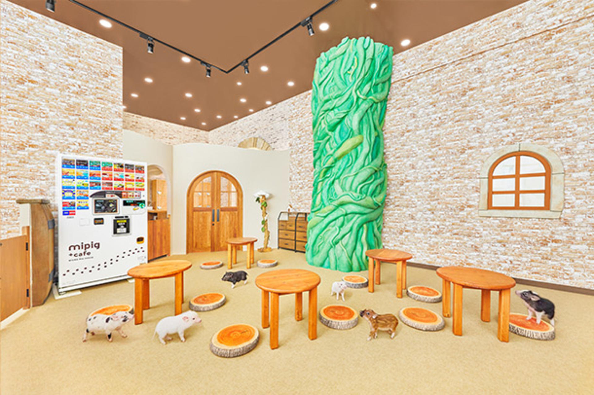 Micro Pig Cafe Experience in Nagoya - Thumbnail 5