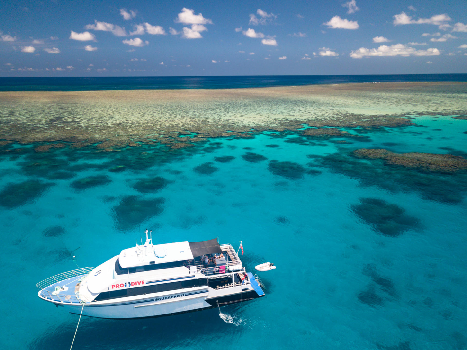 PADI 3-Day/2 Night Liveaboard Trip  - Thumbnail 5