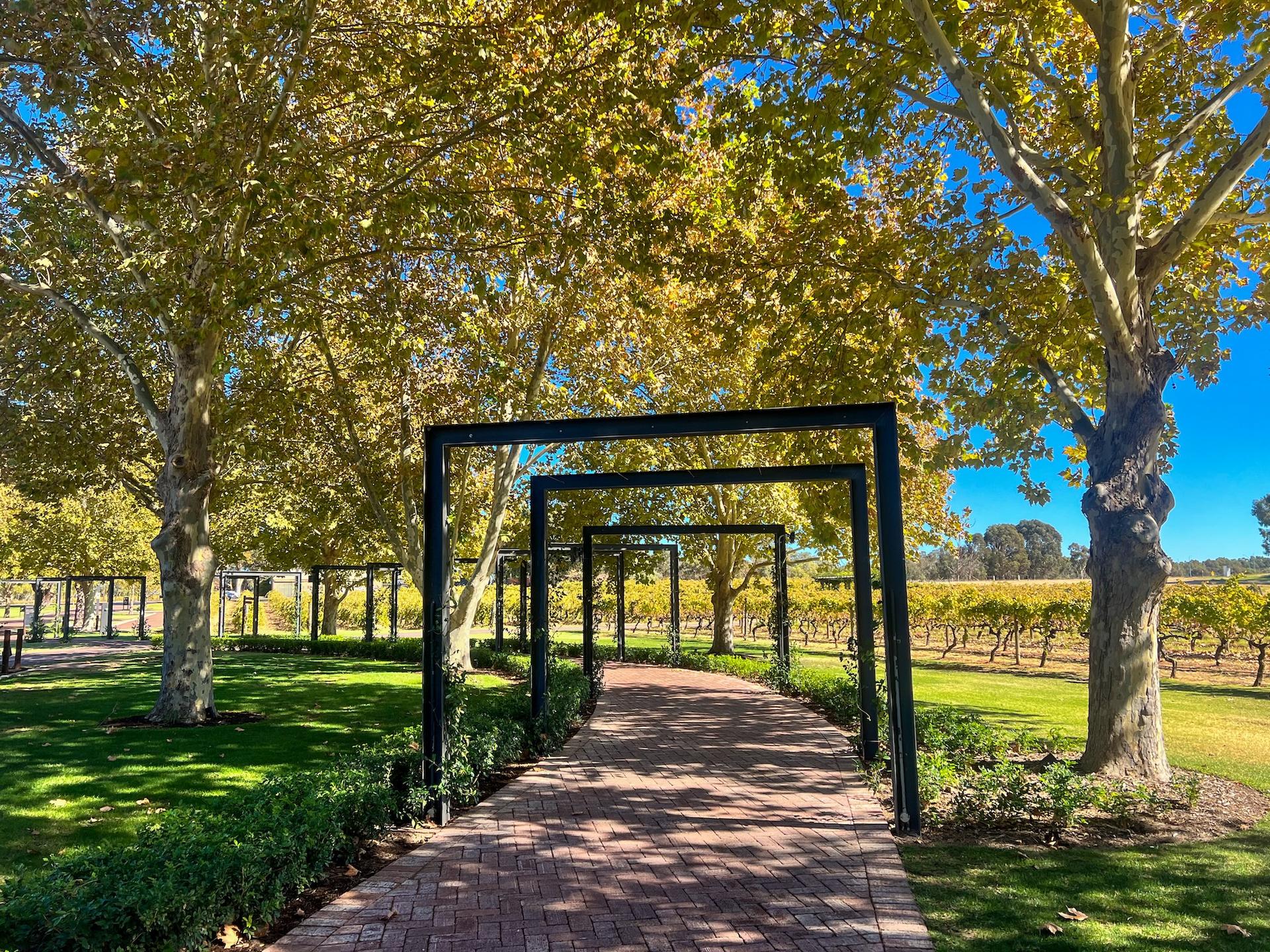Swan Valley Full-Day Wildlife & Wine Tasting Tour - Thumbnail 11