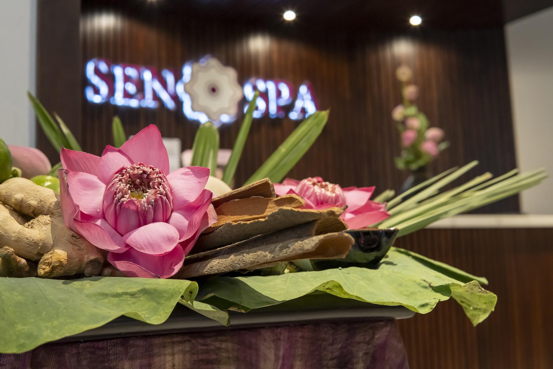 Sen Spa Le Thanh Ton, Ho Chi Minh City: Relaxing Wellness Escape - Thumbnail 3