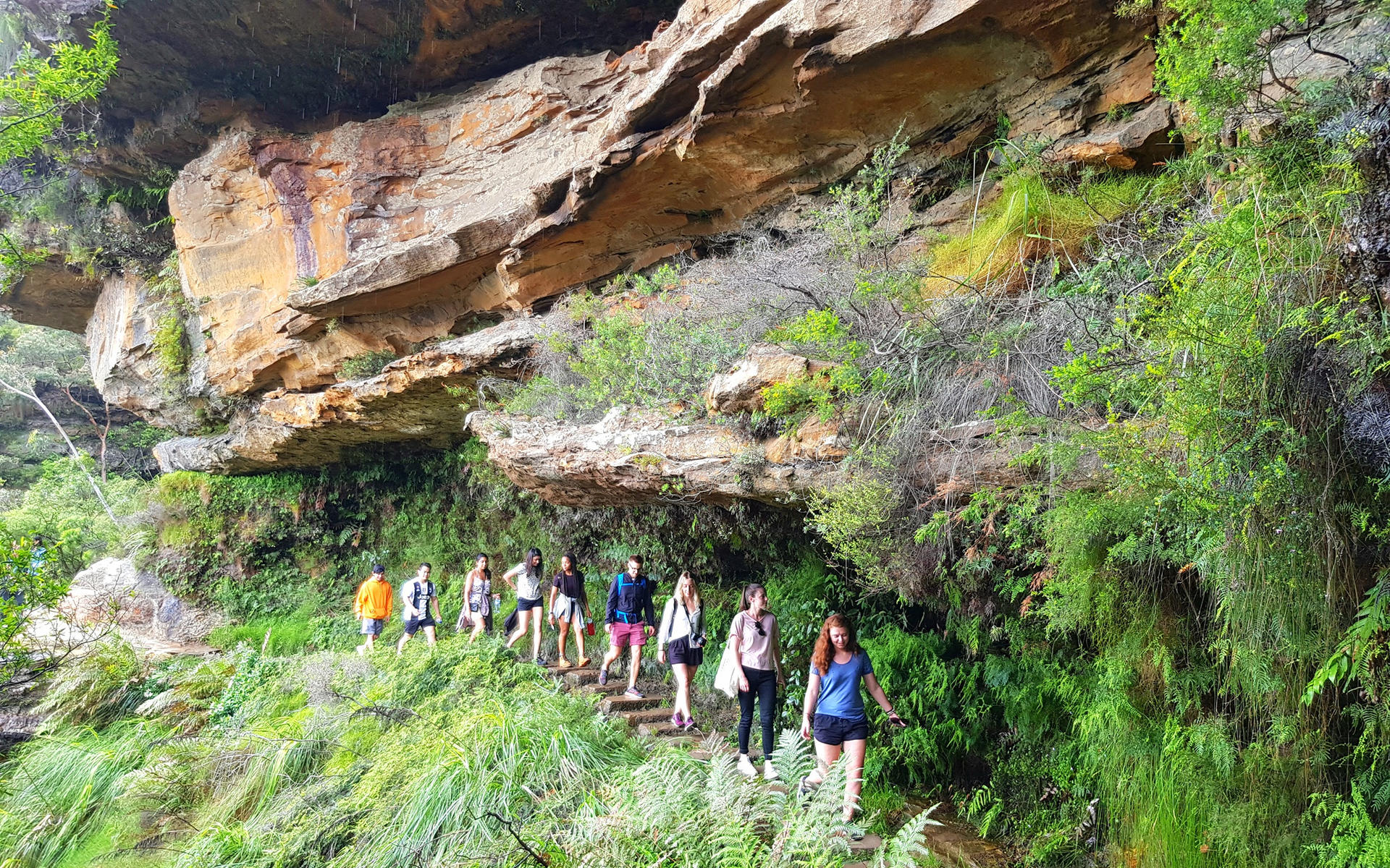 Sydney Blue Mountains Full-Day Small Group Waterfall Tour - Thumbnail 3