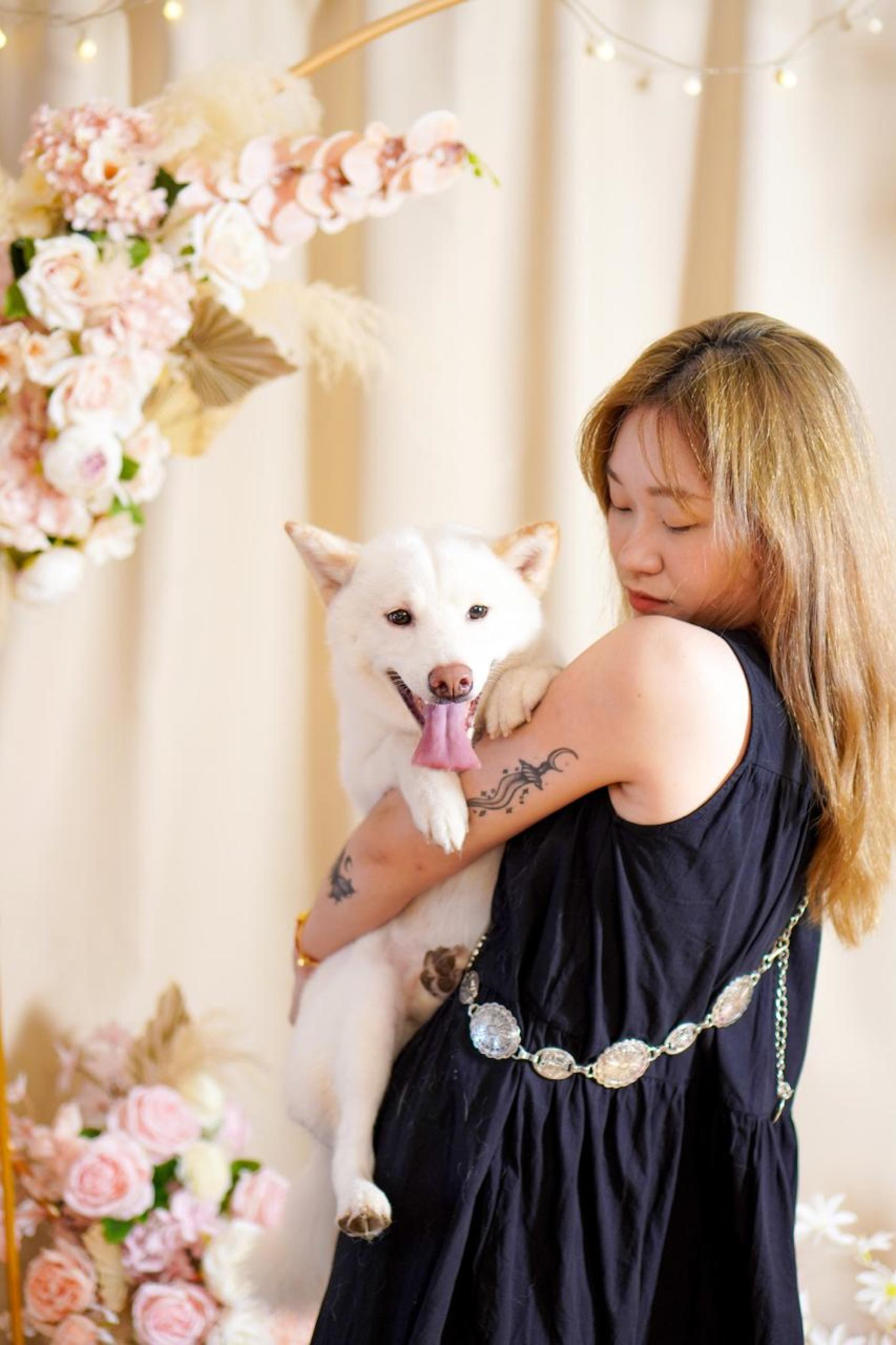 Hong Kong Kwun Tong Pet Photography (STUDIO) - Thumbnail 10