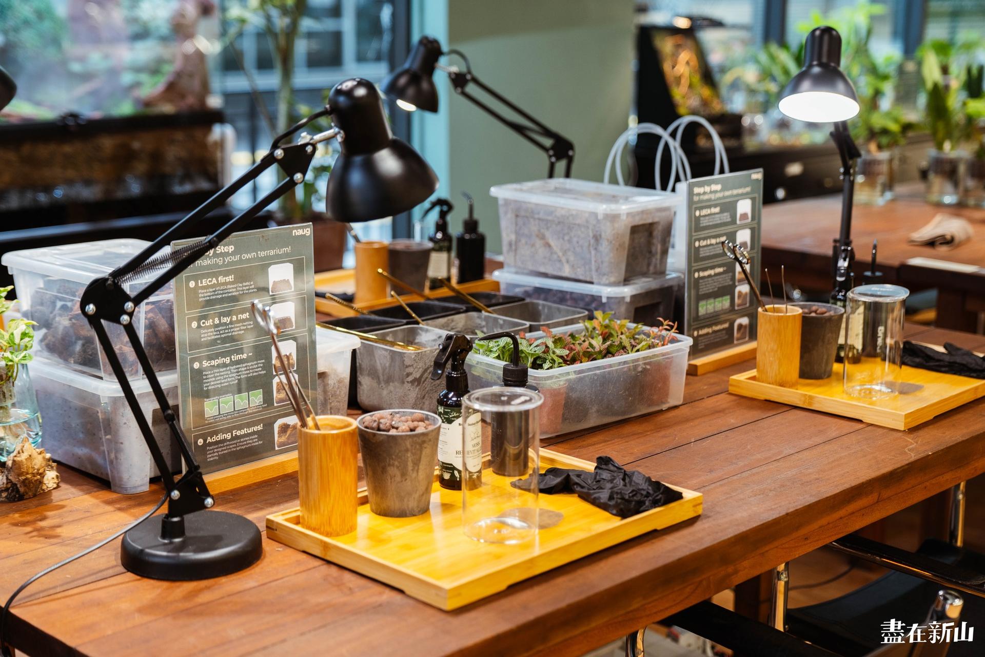 Terrarium DIY Workshop in Johor Bahru  - Thumbnail 16