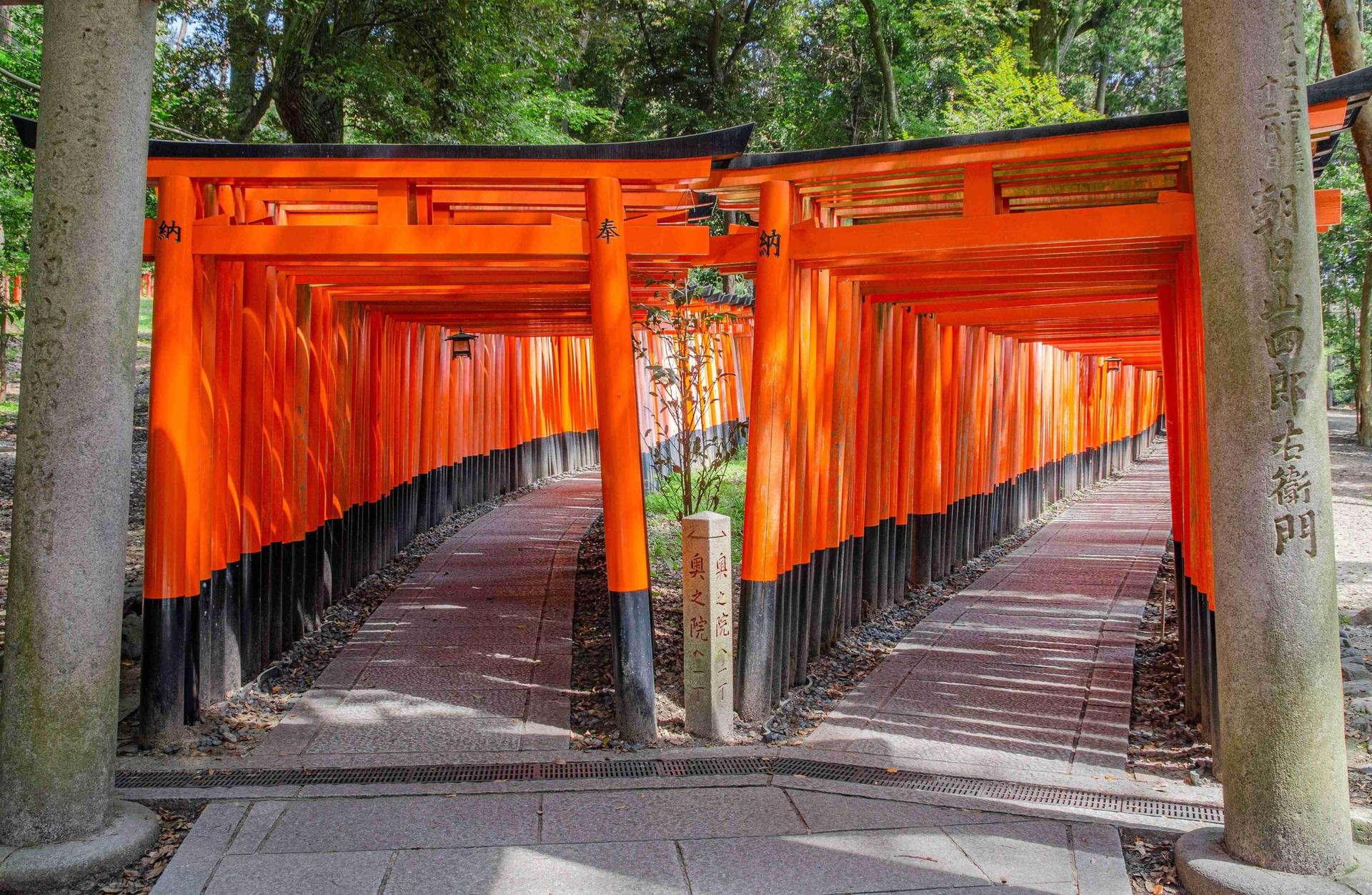 Kyoto Arashiyama Fushimi Inari and Nara Deer Day Tour - Thumbnail 29