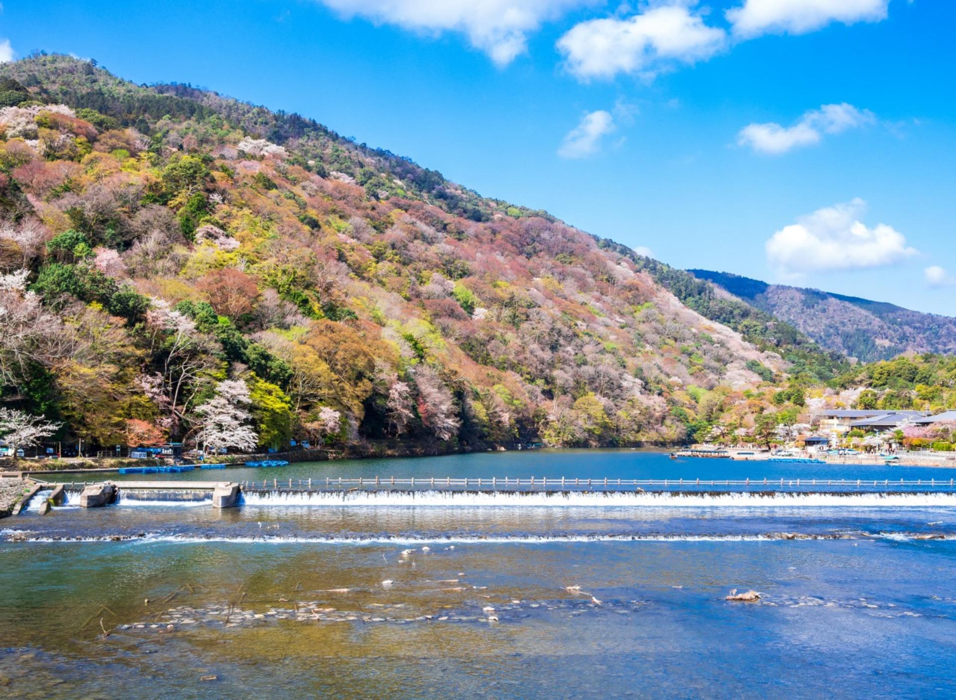 Kyoto Arashiyama Scenic & Cultural Exploration and Nara Adorable Deer Fun Experience Day Tour - Thumbnail 4