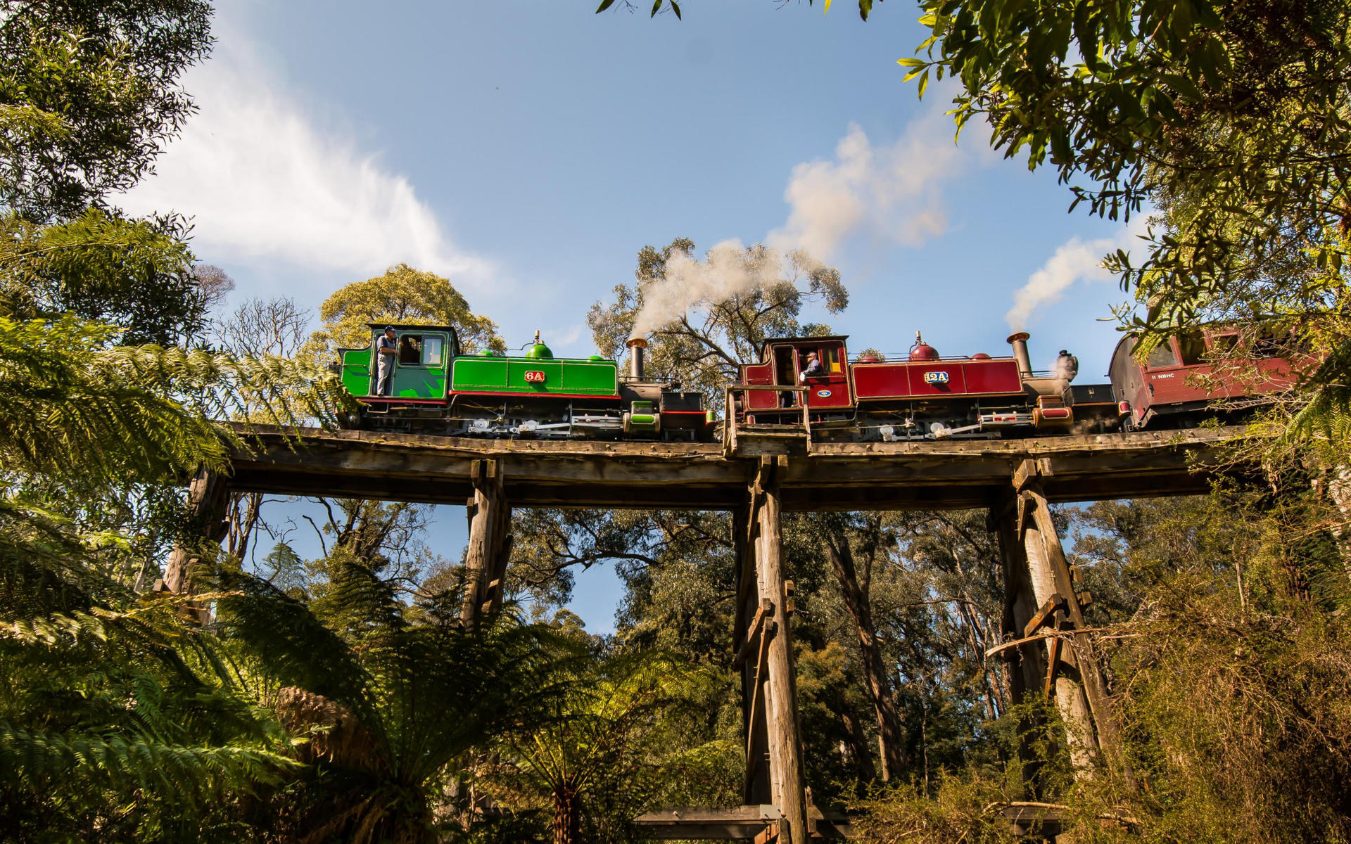Puffing Billy, Phillip Island and Brighton Beach Tour - Image 1