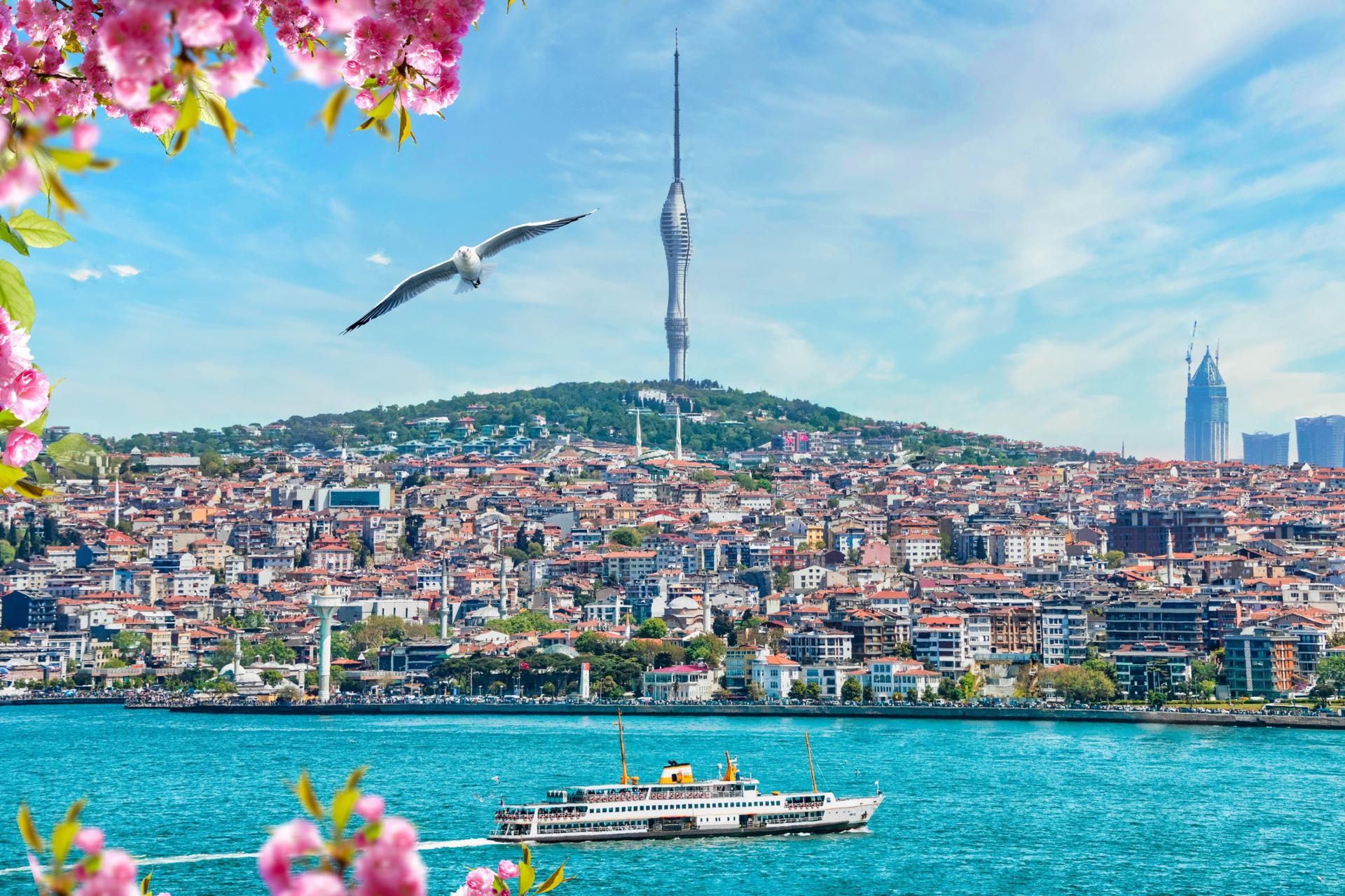 Camlica Tower Tickets in Istanbul - Image 1