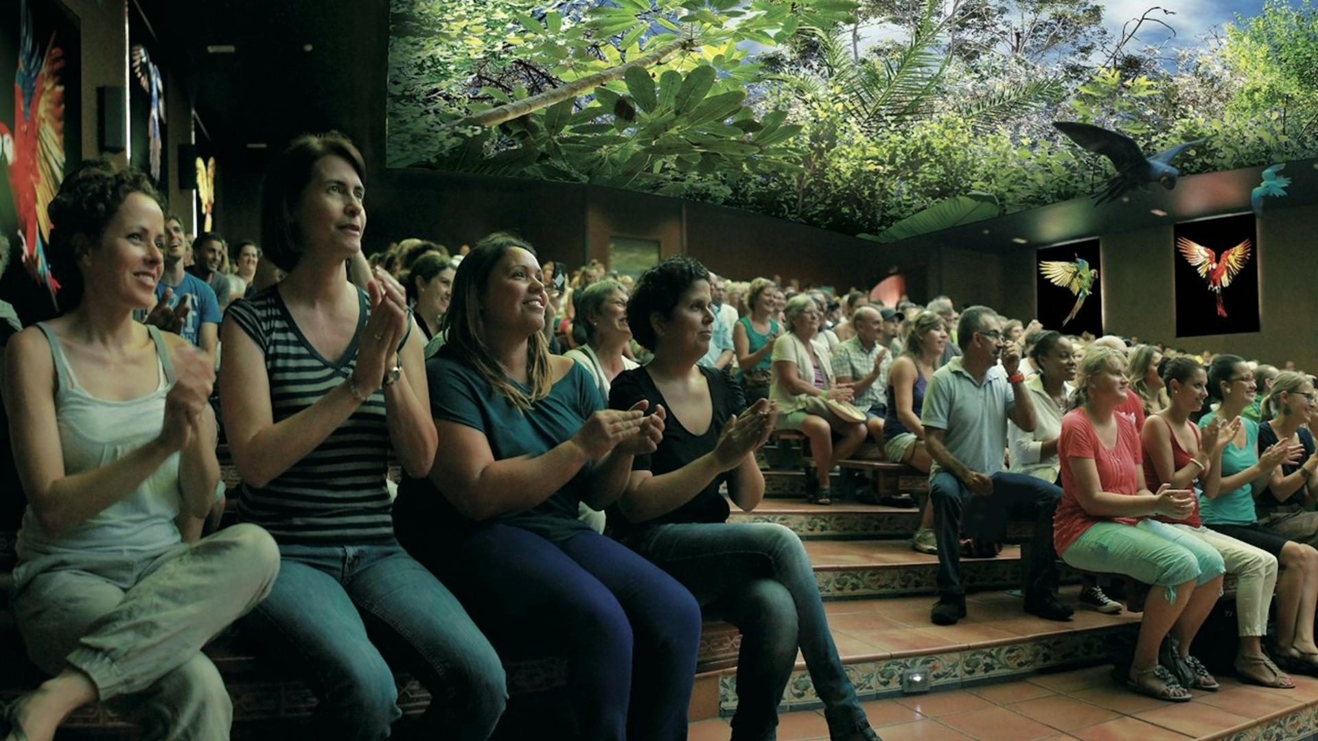 Loro Parque ticket - Thumbnail 3