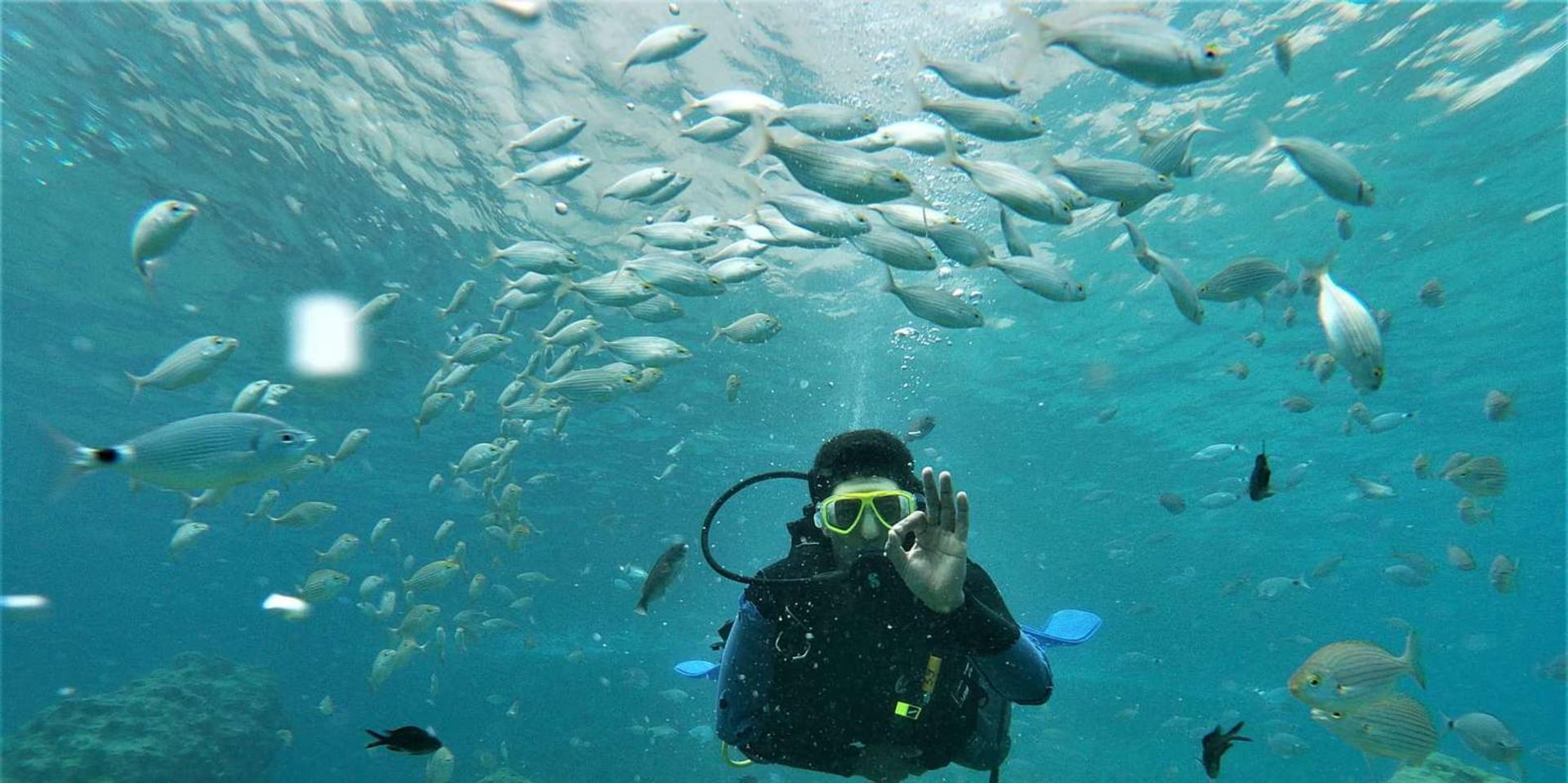 Kusadasi Diving Tour with Transfer and Lunch - Thumbnail 6