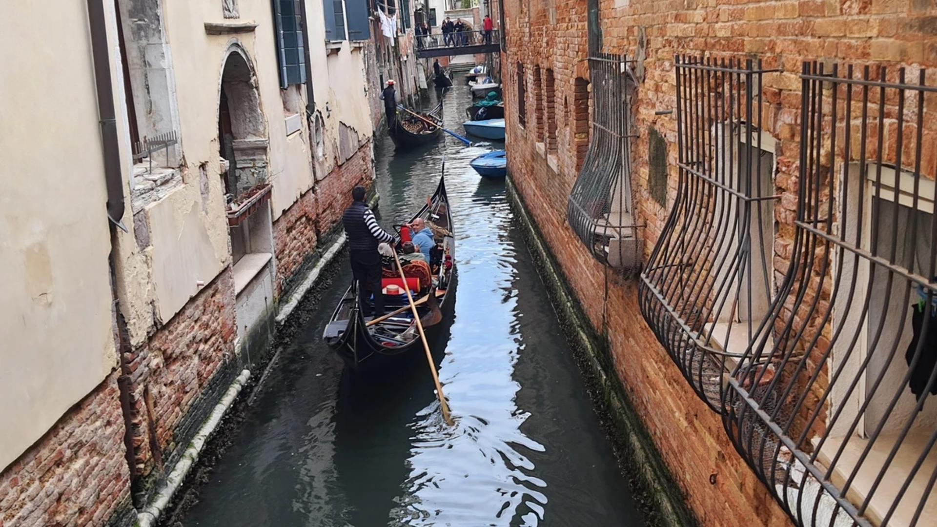 Venice highlights sightseeing tour - Thumbnail 5
