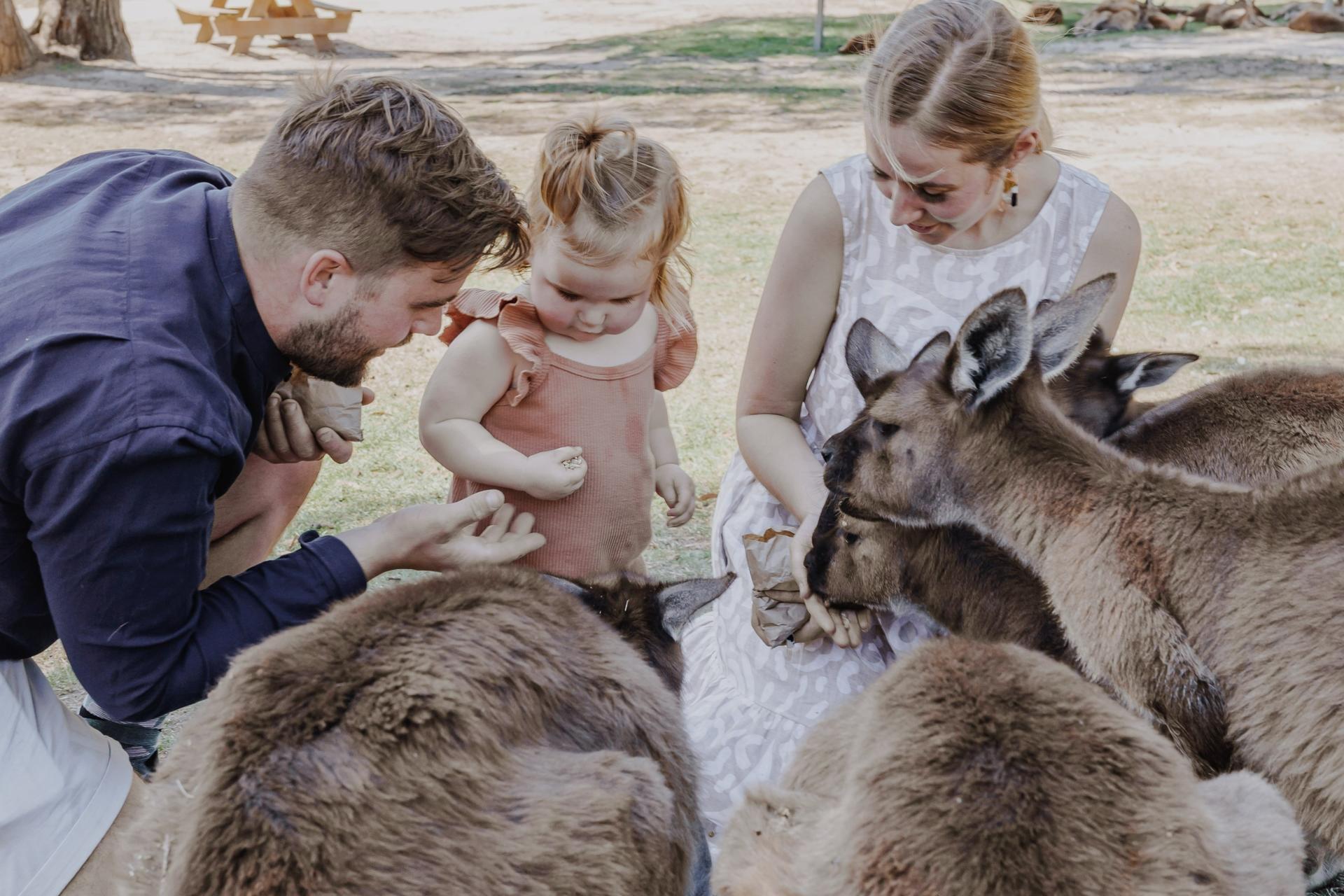 Ballarat Wildlife Park General Ticket - Image 1