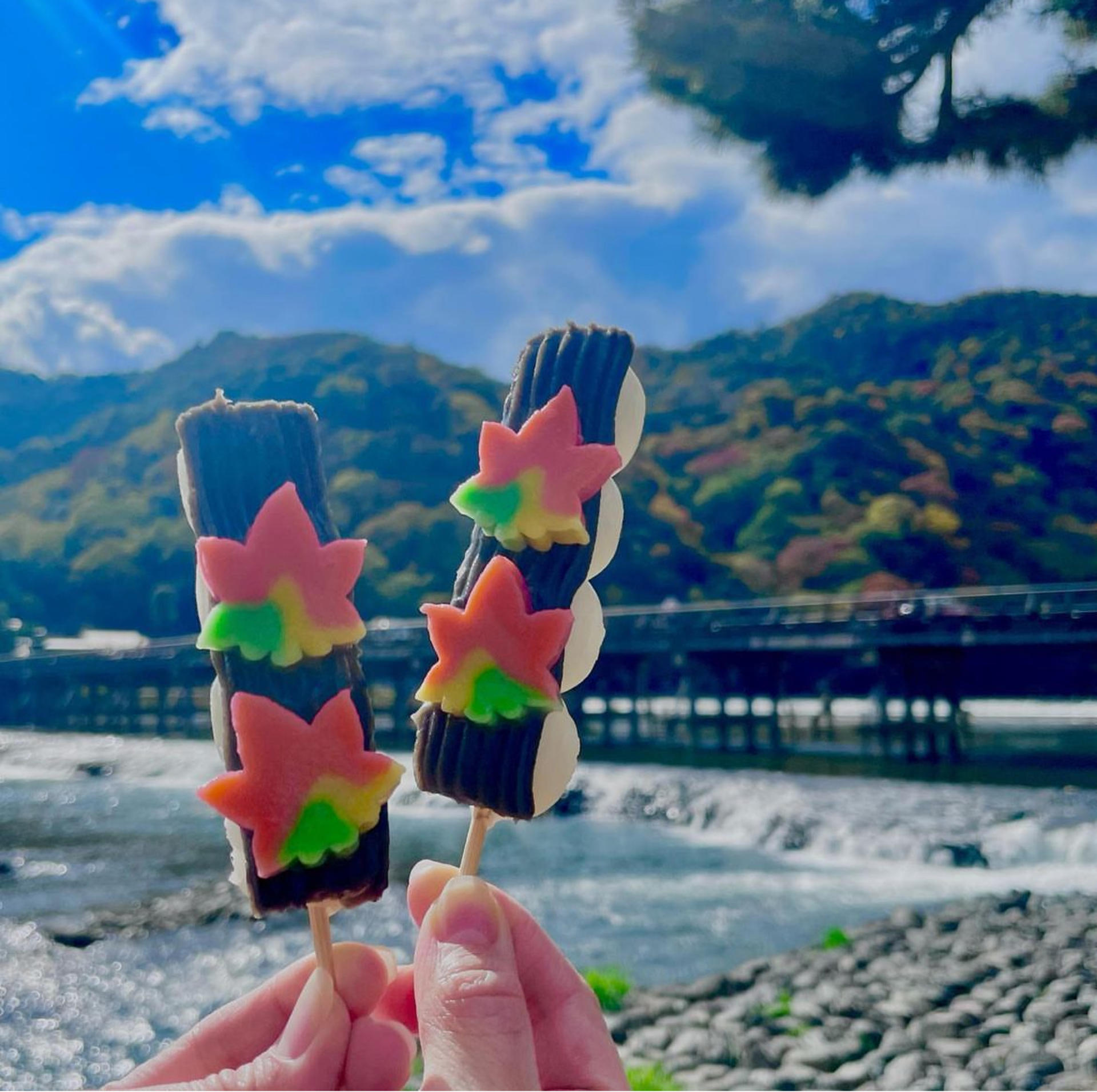 Kyoto Arashiyama Fushimi Inari and Nara Deer Day Tour - Thumbnail 32