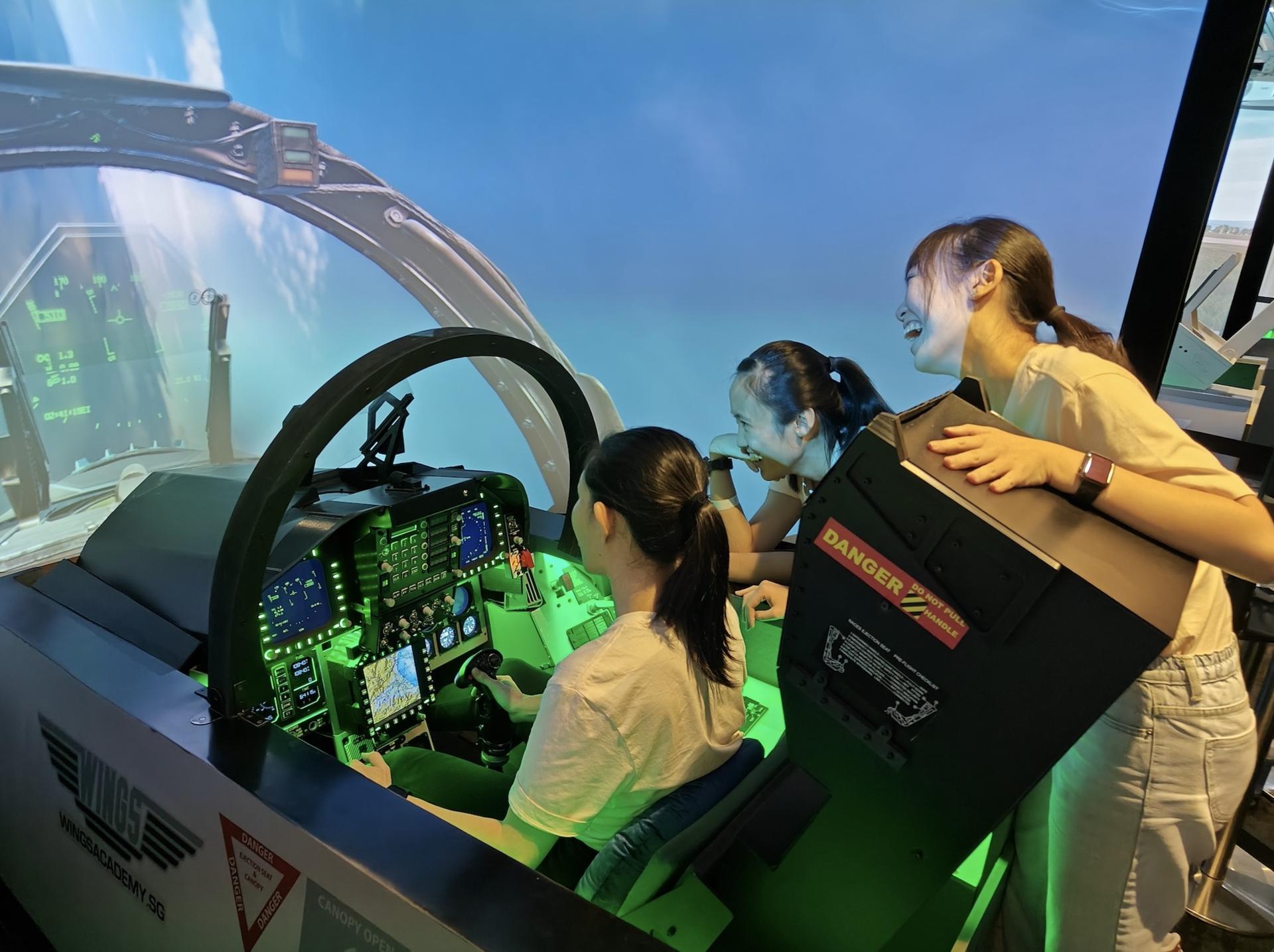 WingsAcademy Pilot Introductory Courses: Airline & Fighter - Thumbnail 5