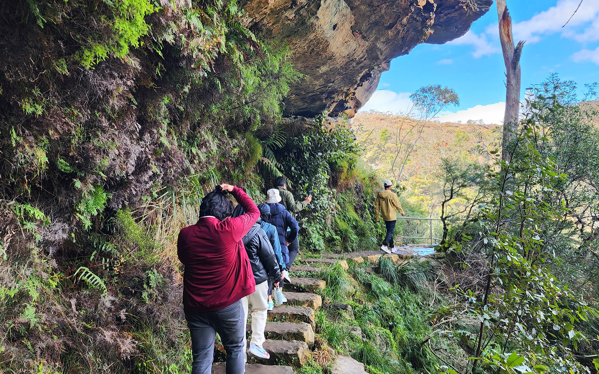 Sydney Blue Mountains Full-Day Small Group Waterfall Tour - Thumbnail 12