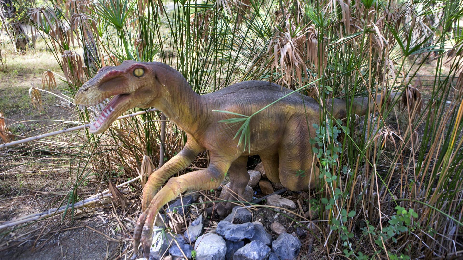 Dinopark Antalya ticket - Thumbnail 3