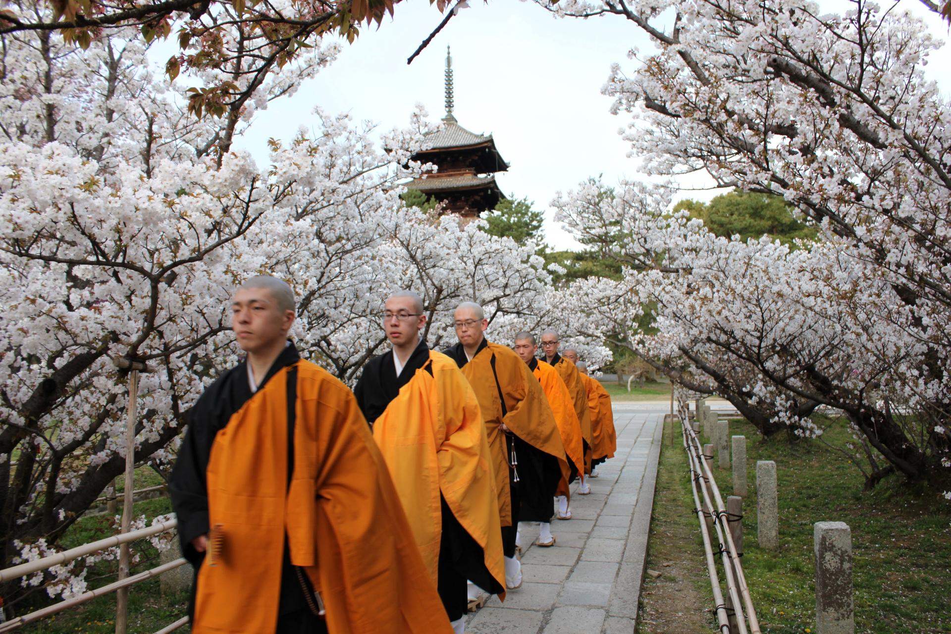 Kyoto Private Tour: Custom Highlights with a Licensed Guide - Thumbnail 35
