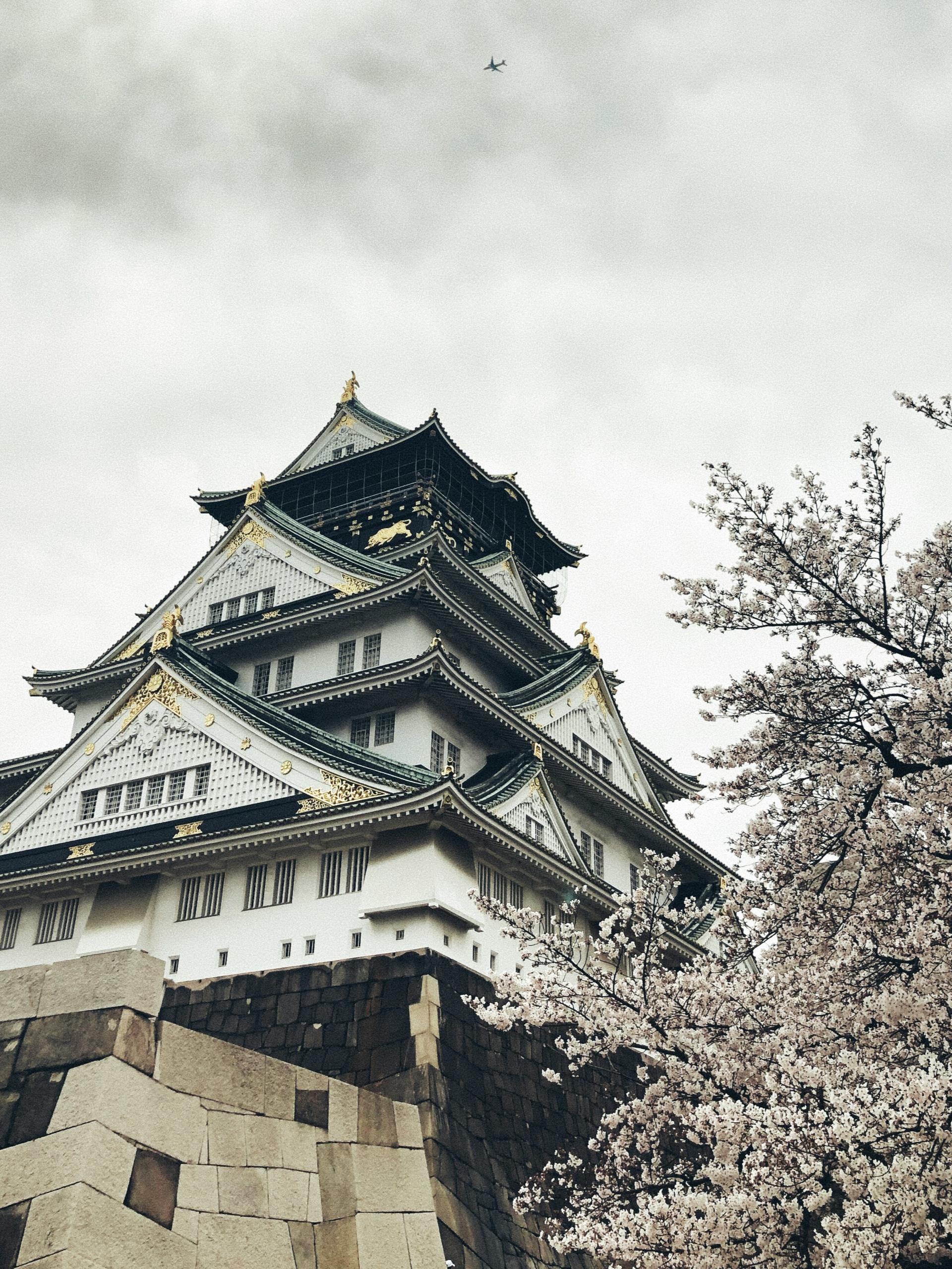 Half-Day Osaka Off-The-Beaten-Path City Exploration Walking Tour - Image 1
