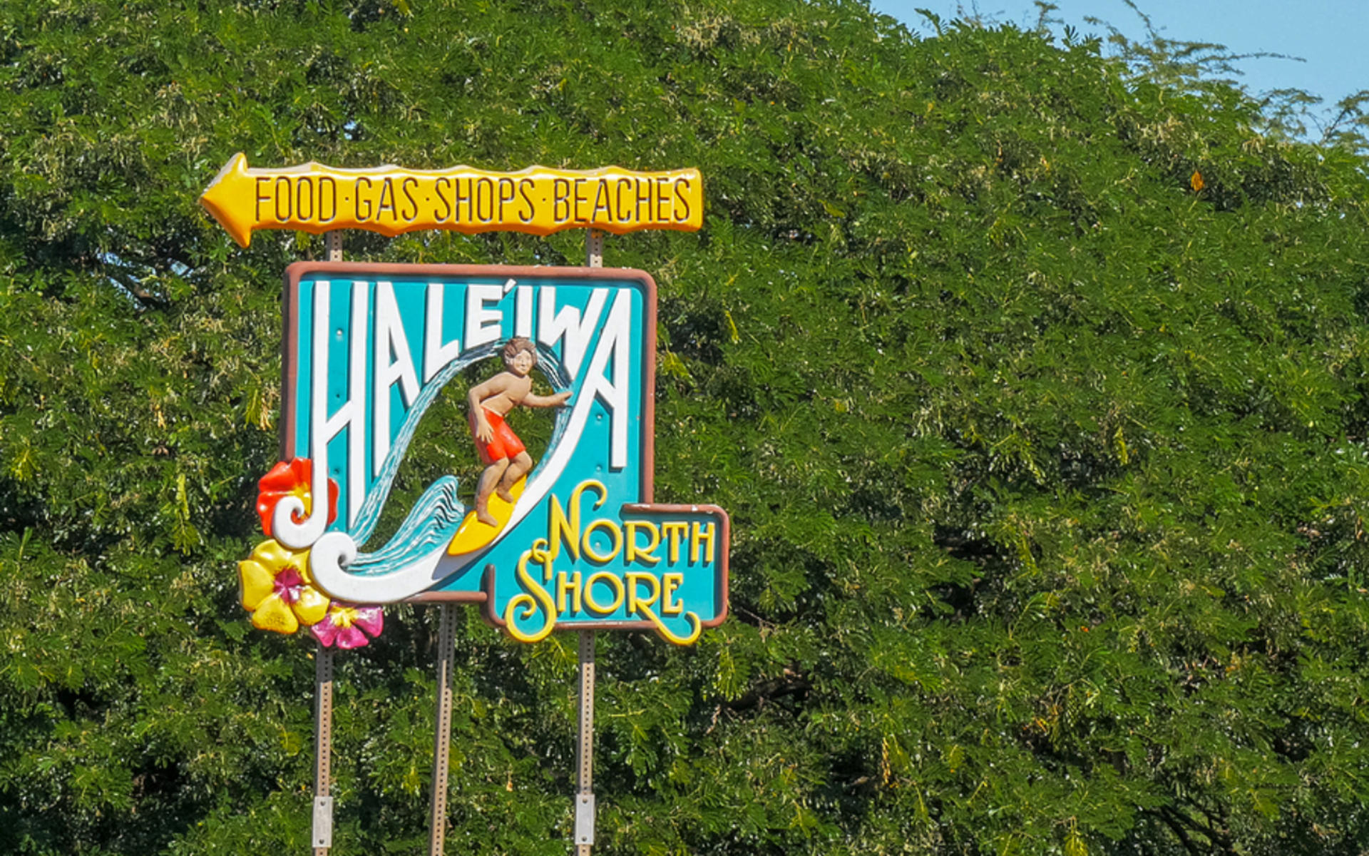North Shore adventure tour - Thumbnail 3